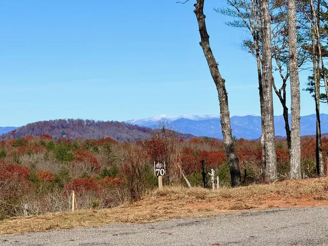 a view of a backyard of a house
