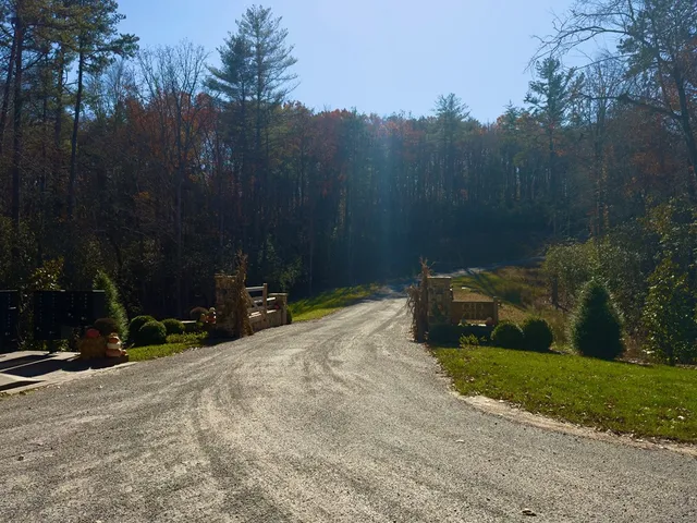 a view of a street with a bench under a large tree