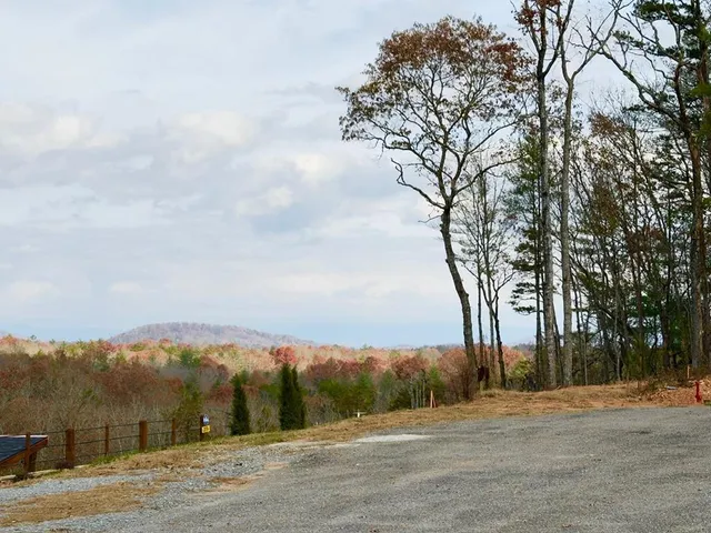 a view of big yard with large trees