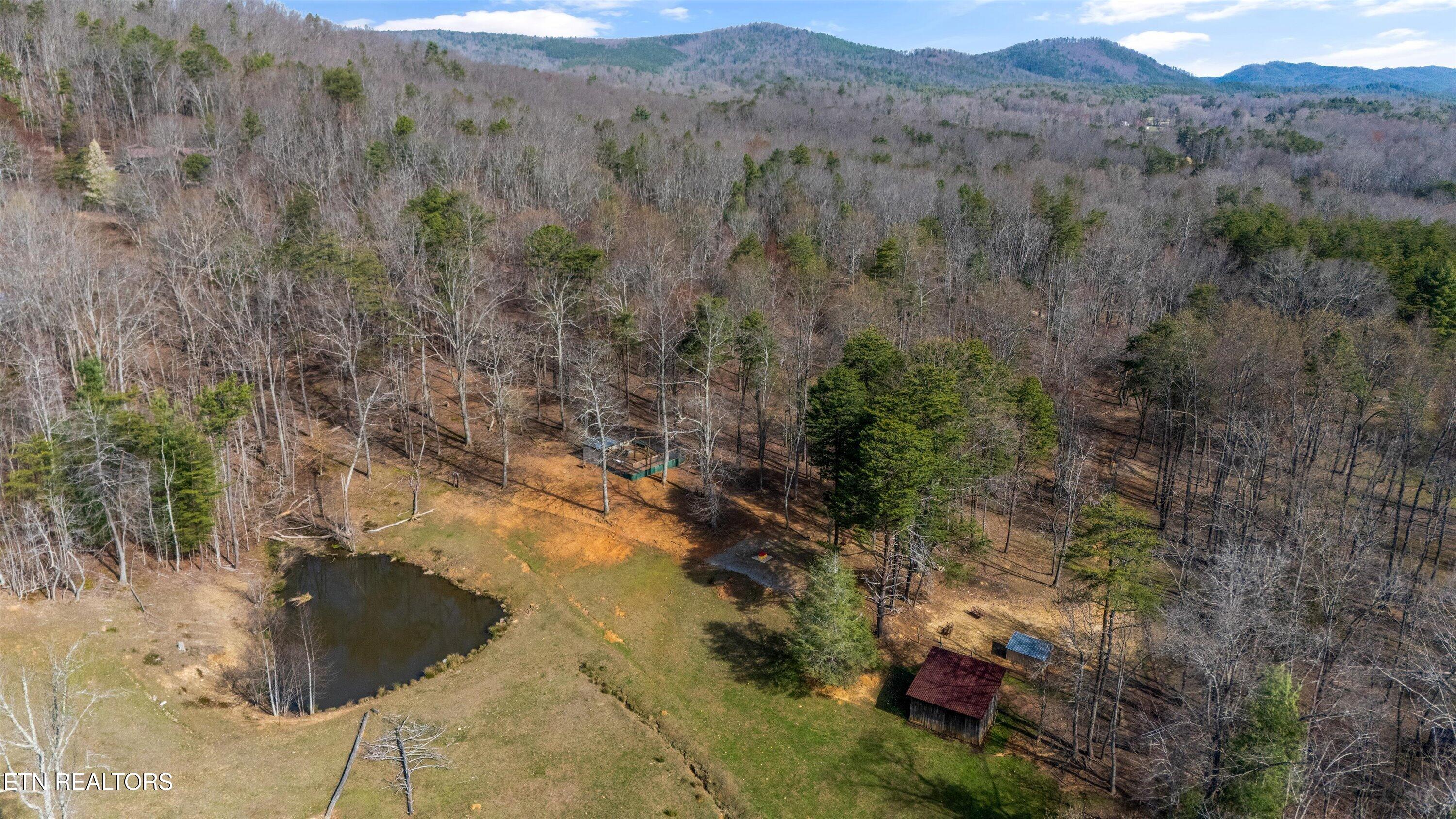 575 Ironsburg Road Tellico Plains, TN 37385 - Photo 2 of 57 52-575 Ironsburg Rd09