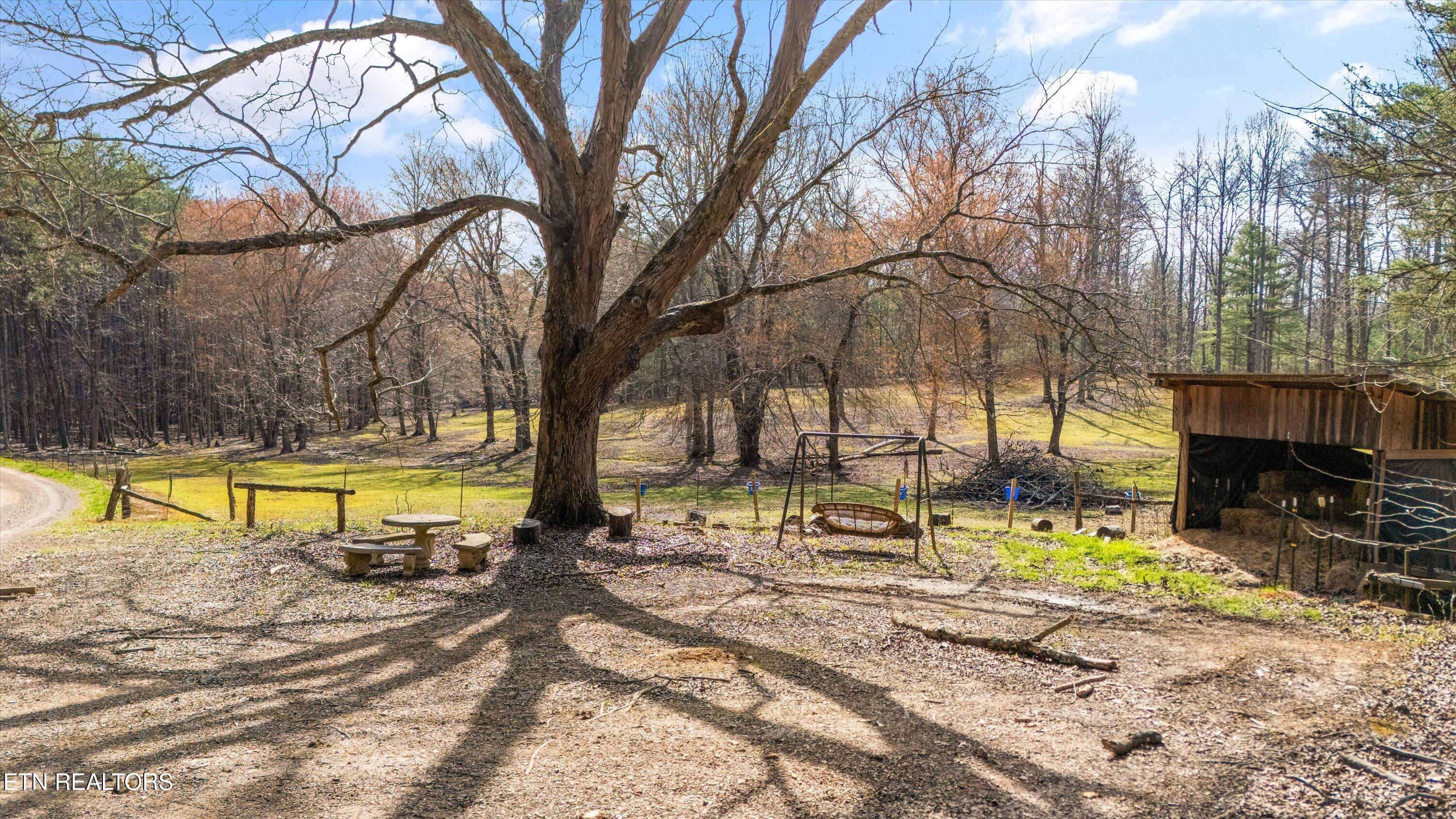 575 Ironsburg Road Tellico Plains, TN 37385 - Photo 3 of 57 56-575 Ironsburg Rd13