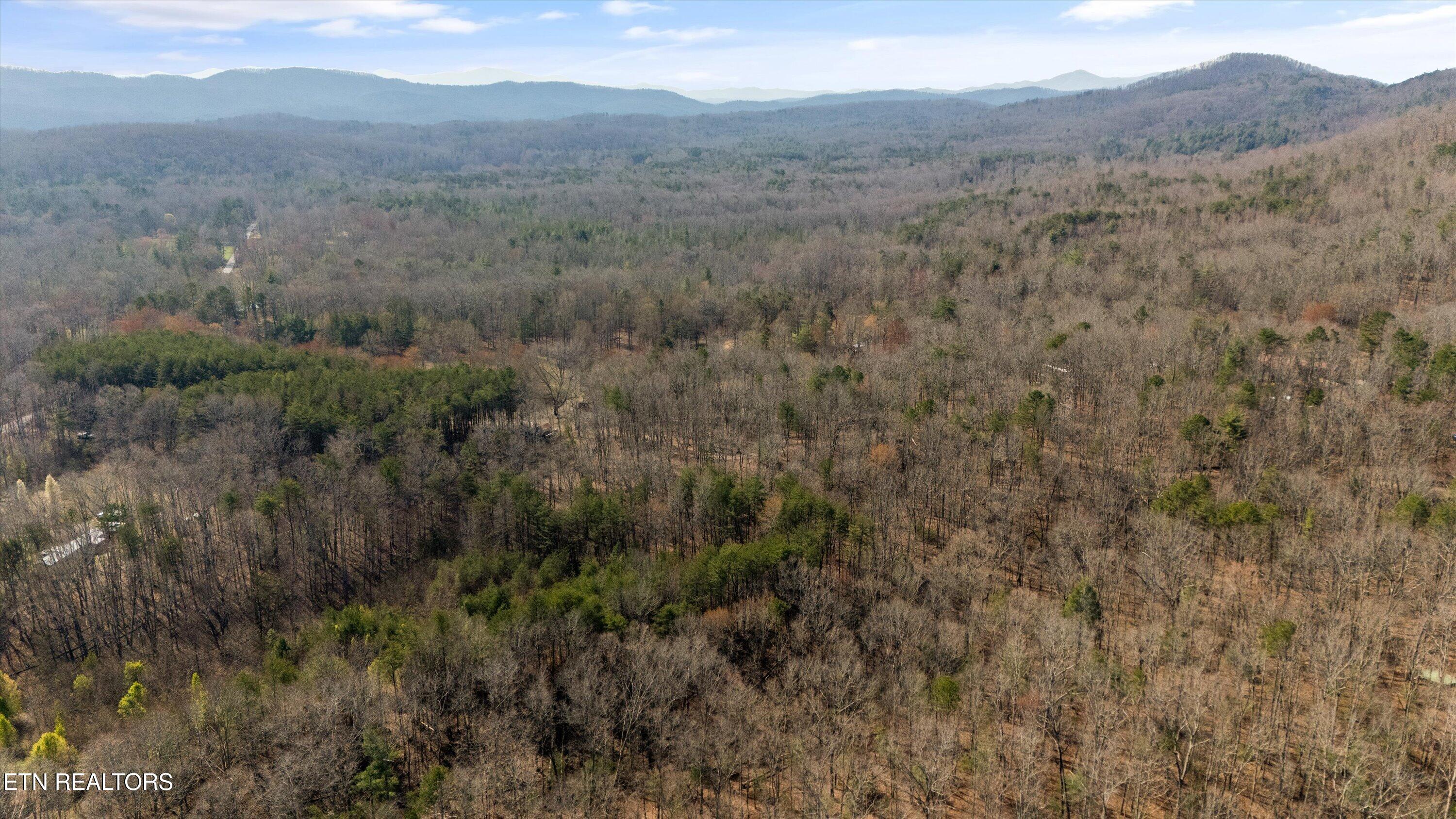 575 Ironsburg Road Tellico Plains, TN 37385 - Photo 41 of 57 45-575 Ironsburg Rd02