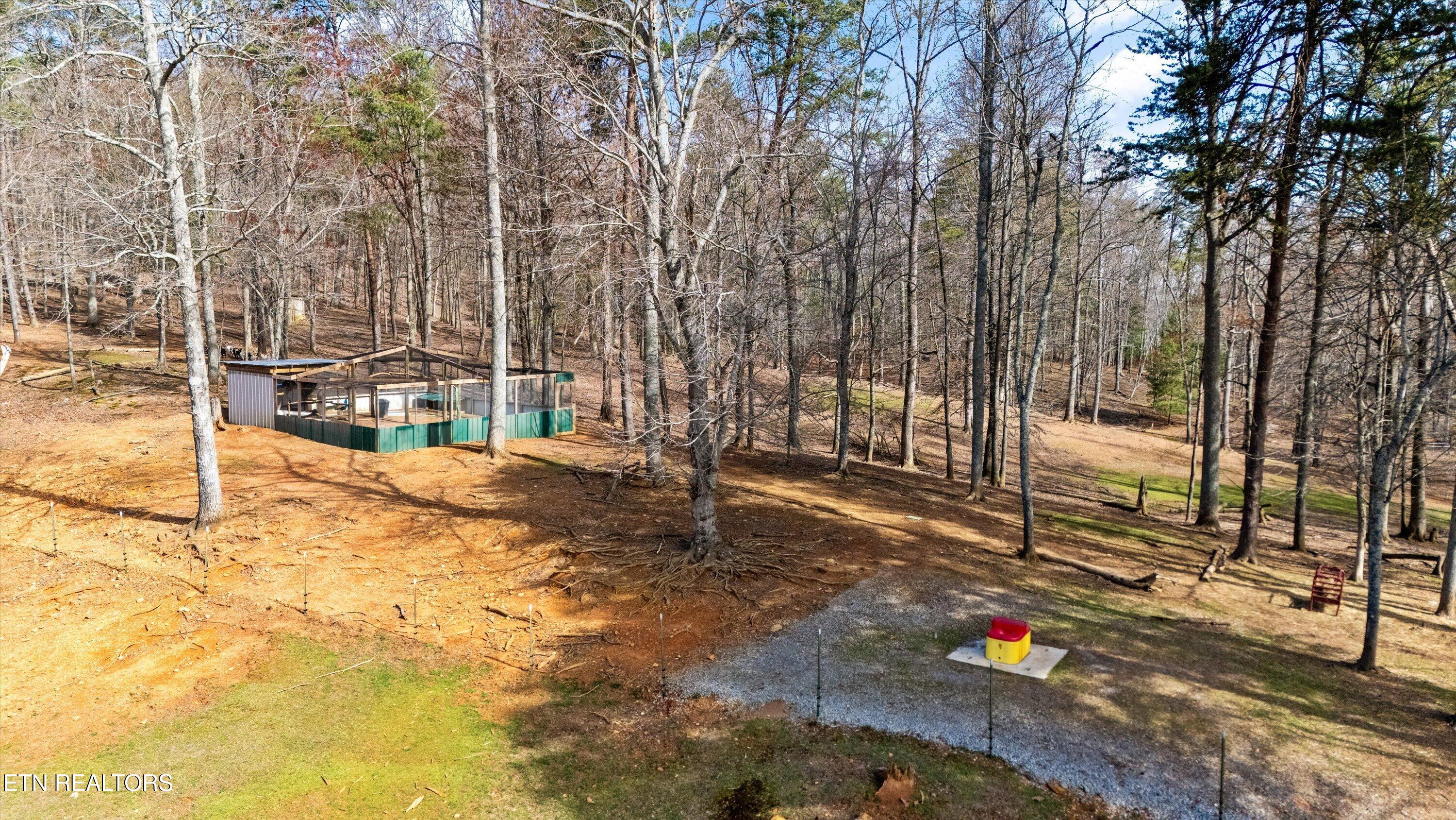 575 Ironsburg Road Tellico Plains, TN 37385 - Photo 44 of 57 47-575 Ironsburg Rd04