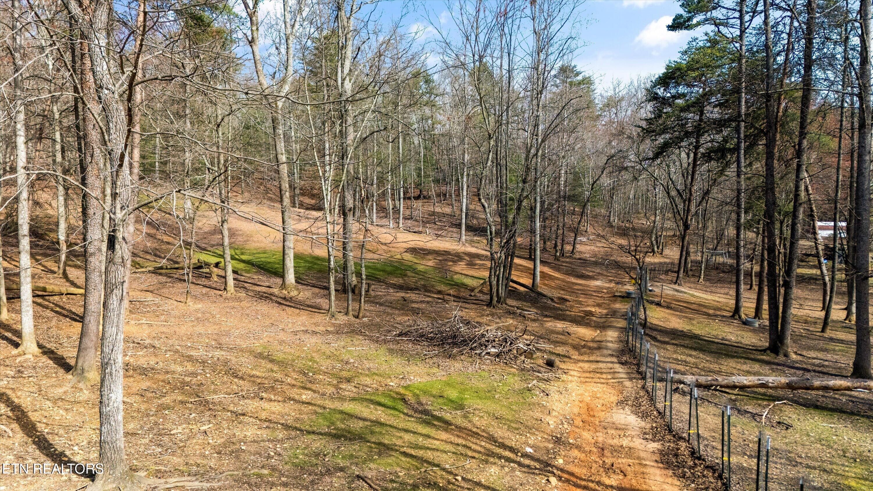 575 Ironsburg Road Tellico Plains, TN 37385 - Photo 46 of 57 50-575 Ironsburg Rd07