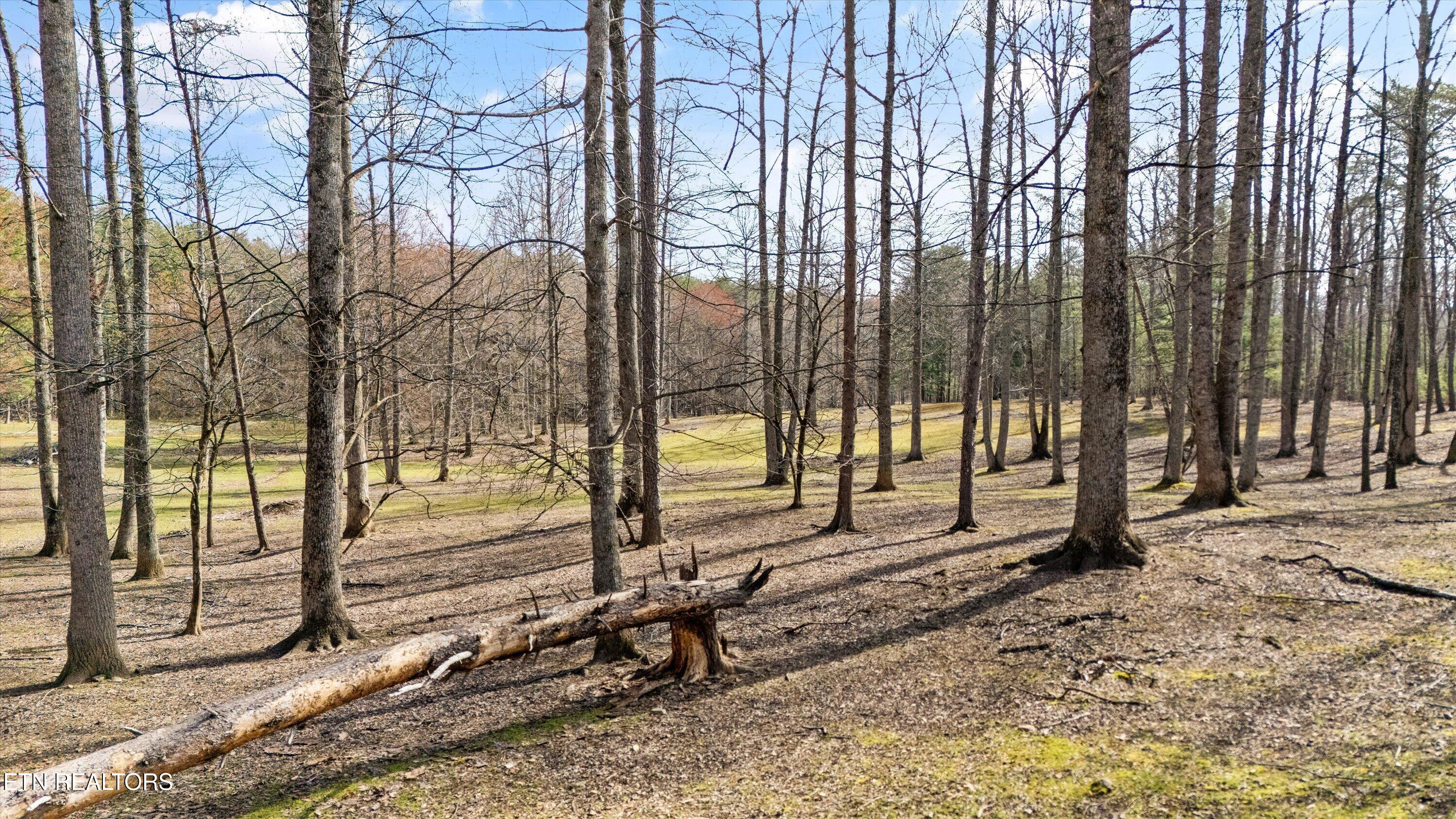 575 Ironsburg Road Tellico Plains, TN 37385 - Photo 47 of 57 51-575 Ironsburg Rd08