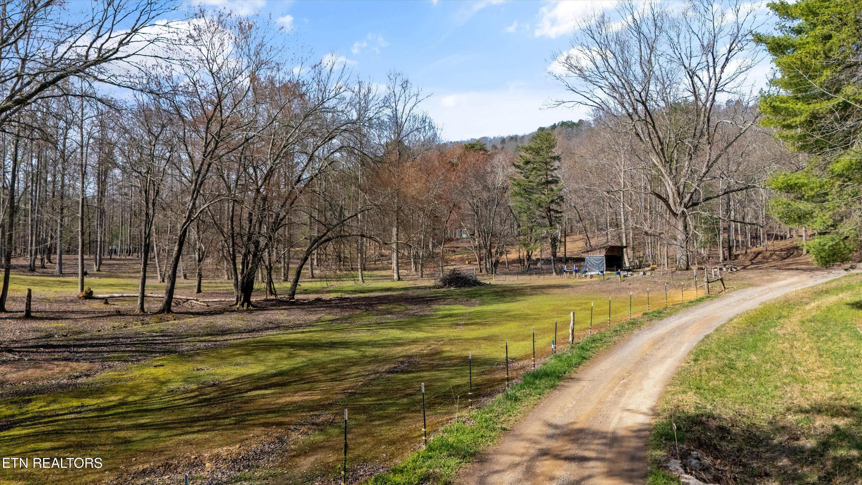575 Ironsburg Road Tellico Plains, TN 37385 - Photo 49 of 57 54-575 Ironsburg Rd11