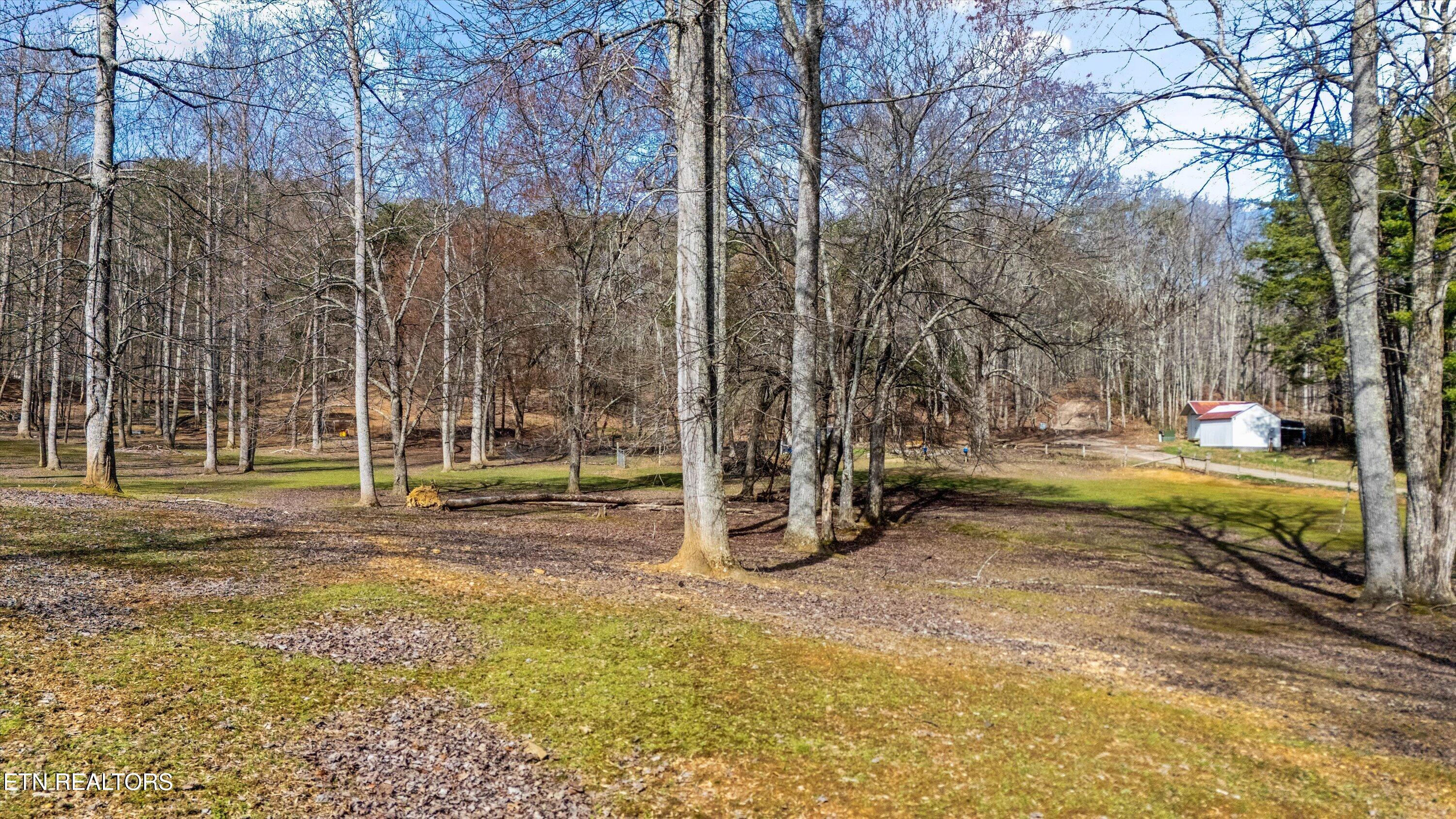 575 Ironsburg Road Tellico Plains, TN 37385 - Photo 49 of 57 53-575 Ironsburg Rd10