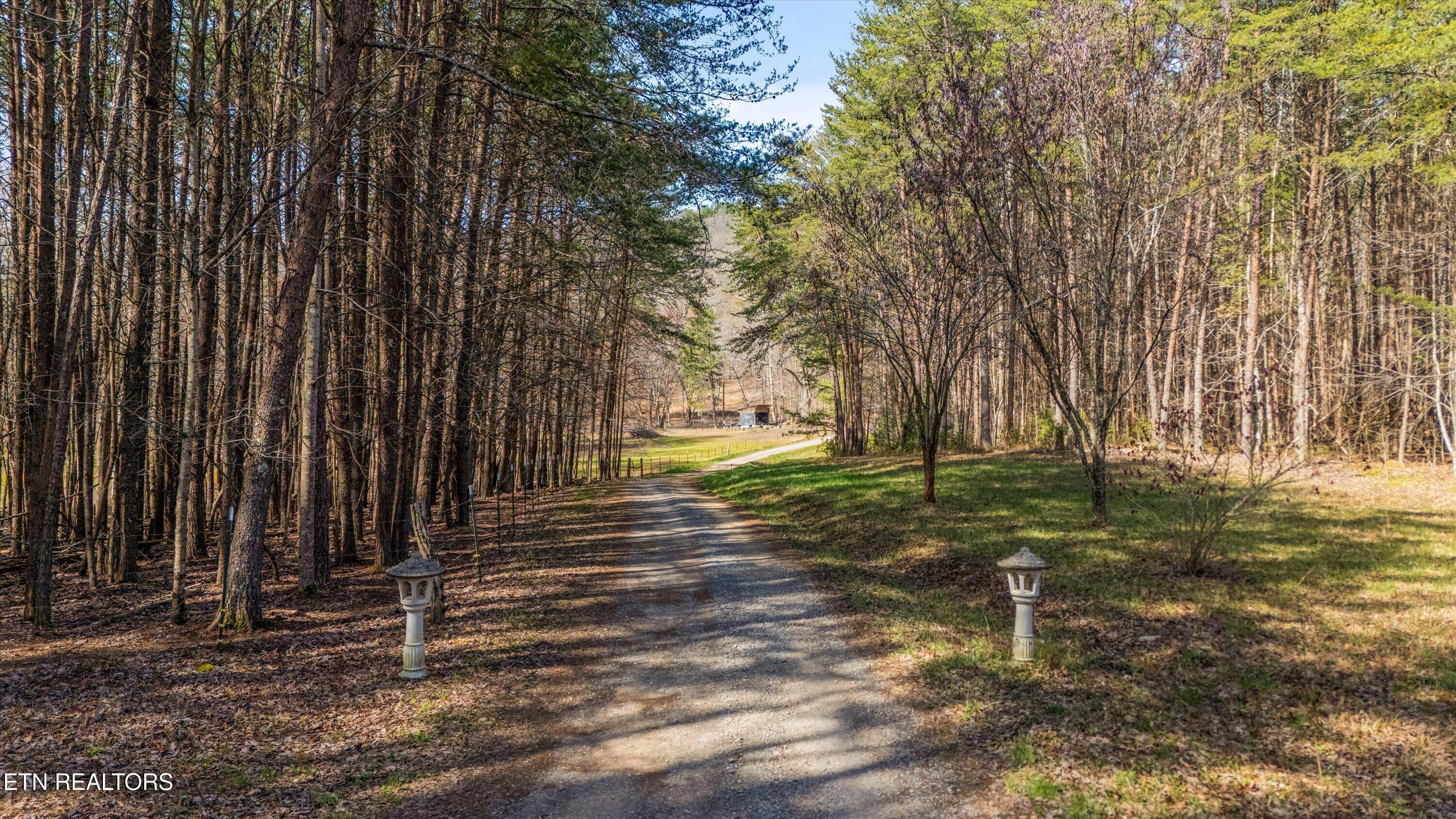 575 Ironsburg Road Tellico Plains, TN 37385 - Photo 51 of 57 57-575 Ironsburg Rd14