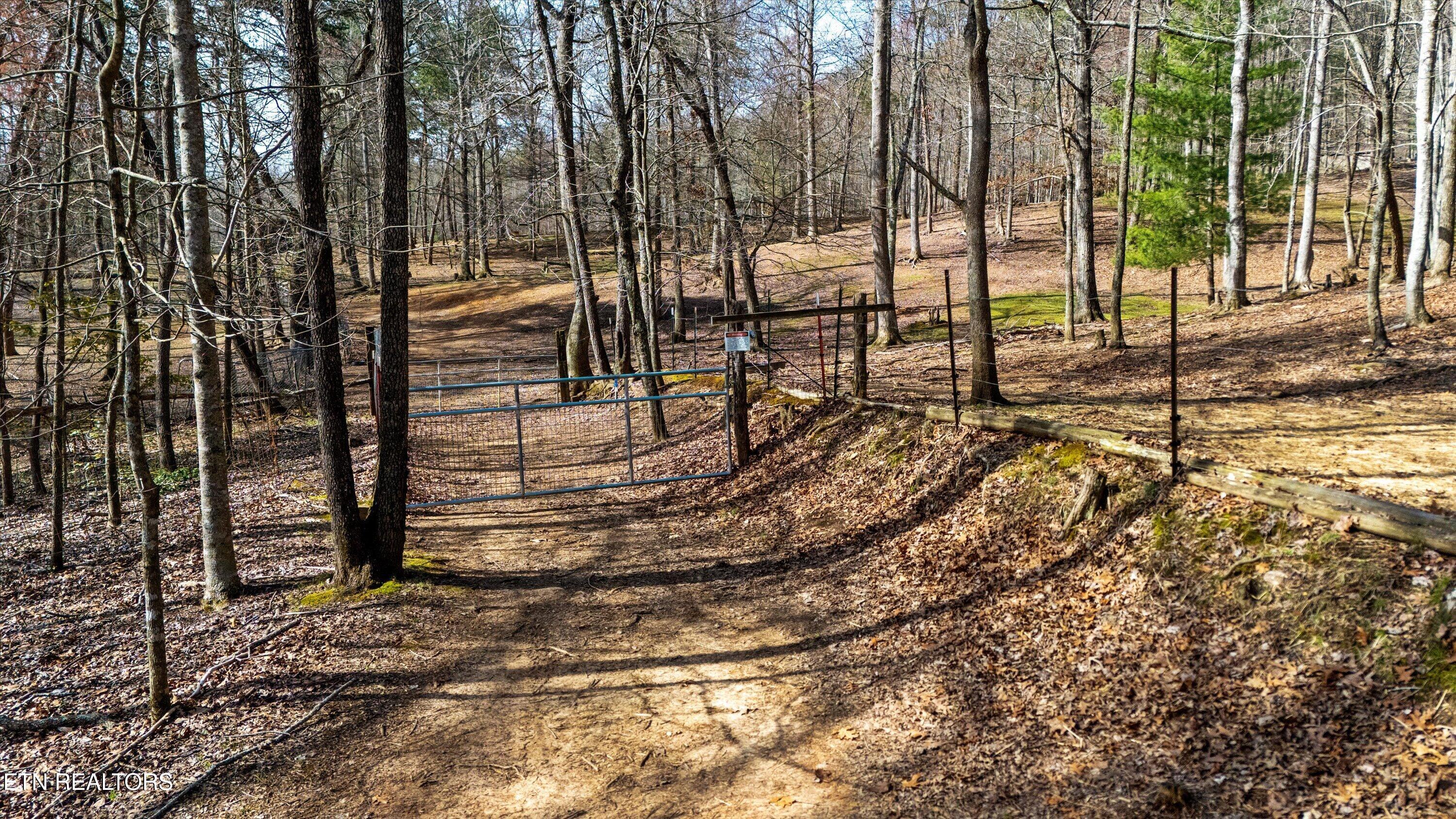 575 Ironsburg Road Tellico Plains, TN 37385 - Photo 51 of 57 55-575 Ironsburg Rd12