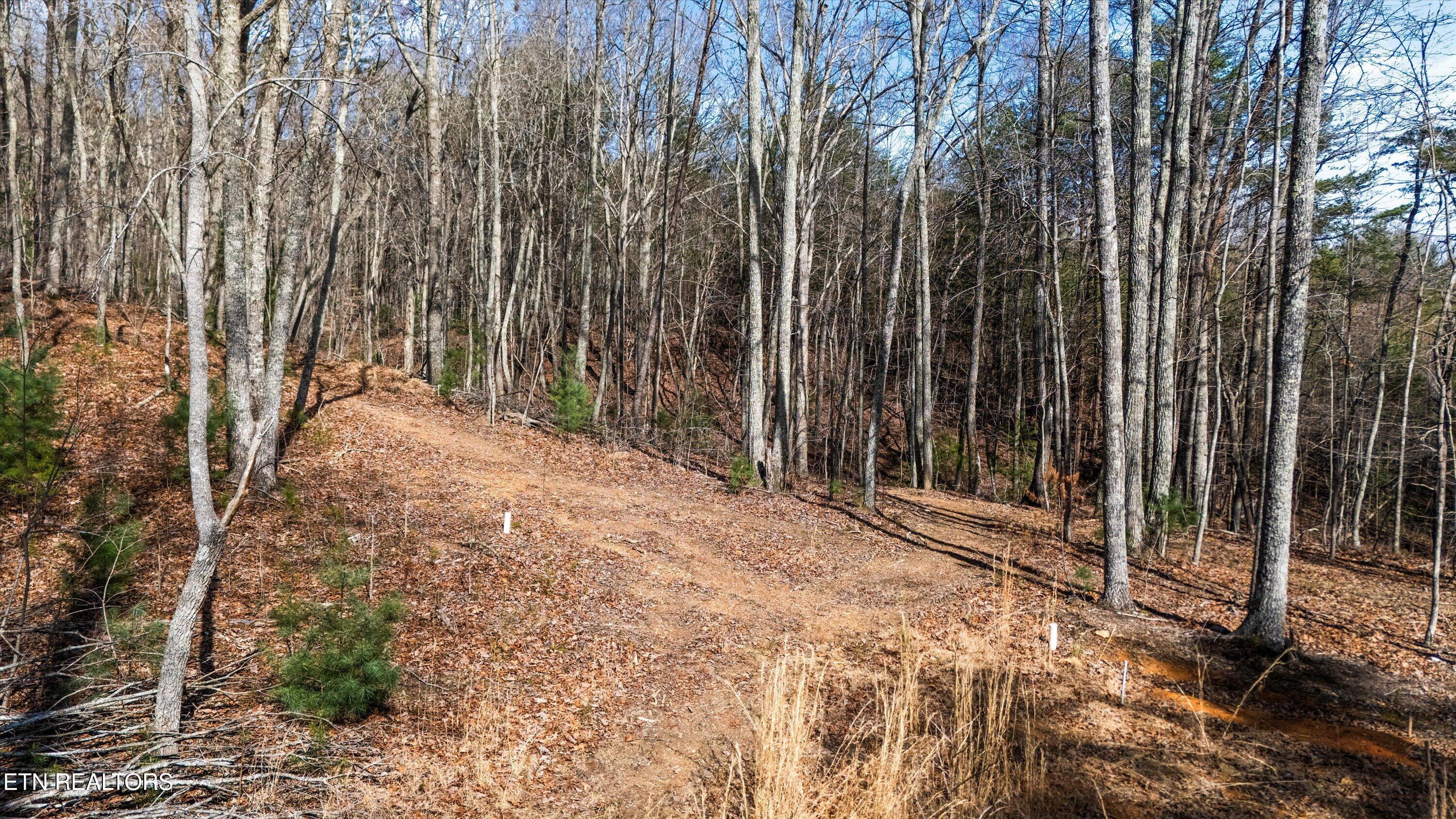 575 Ironsburg Road Tellico Plains, TN 37385 - Photo 52 of 57 58-575 Ironsburg Rd15