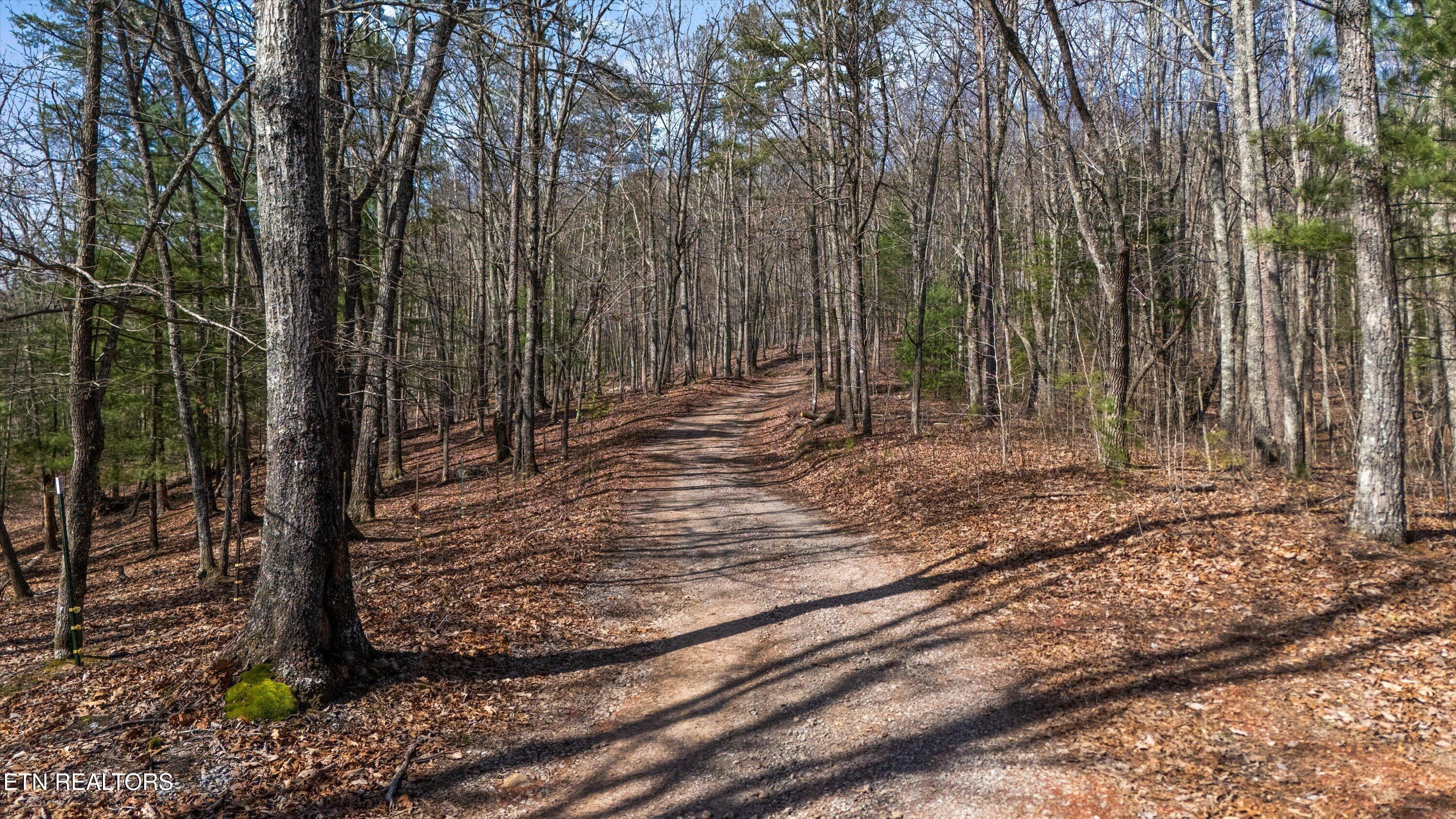 575 Ironsburg Road Tellico Plains, TN 37385 - Photo 55 of 57 60-575 Ironsburg Rd17