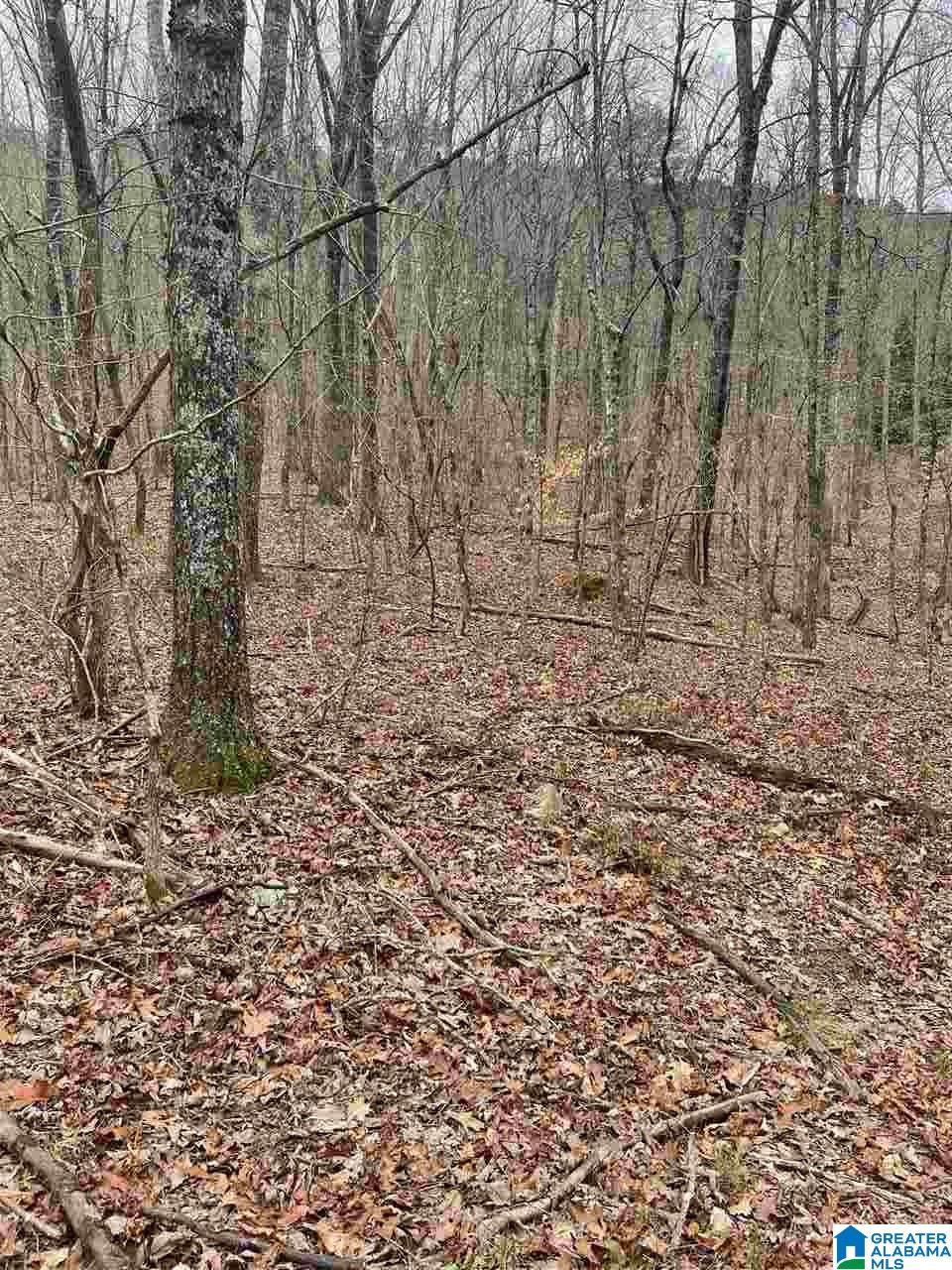 280 Stonegate Drive, Unit 28 Birmingham, AL 35242 - Photo 9 of 9