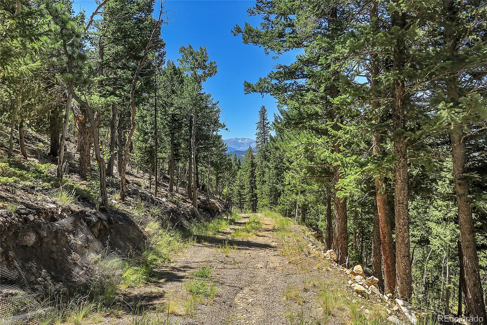 4 Hughesville Road Black Hawk, CO 80422 - Photo 26 of 29 a view of a yard with a tree
