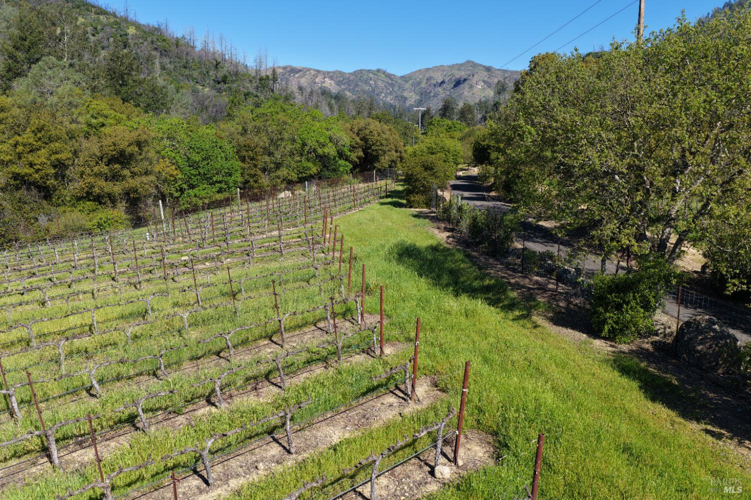 255 Dutch Henry Canyon Road Calistoga, CA 94515 - Photo 9 of 11