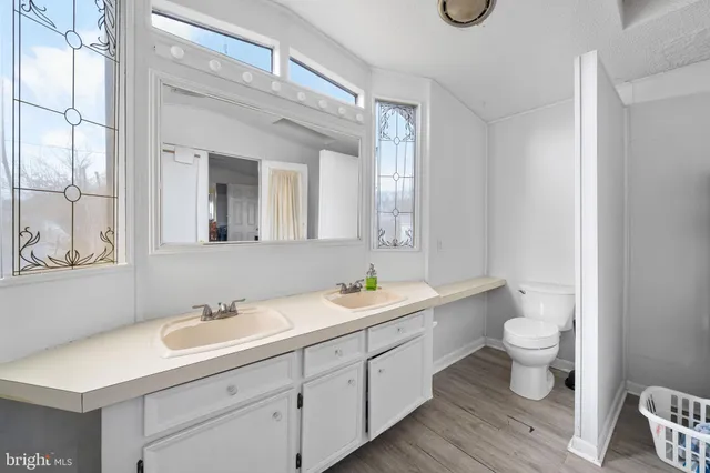a bathroom with a double vanity sink toilet and a mirror