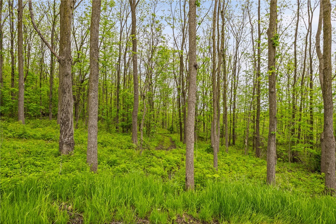 9380 Big Tree Road Richmond, NY 14466 - Photo 3 of 25