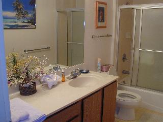 320 Papaloa Road, Unit 305 Kapaa, HI 96746 - Photo 4 of 8 a bathroom with a sink a toilet and shower
