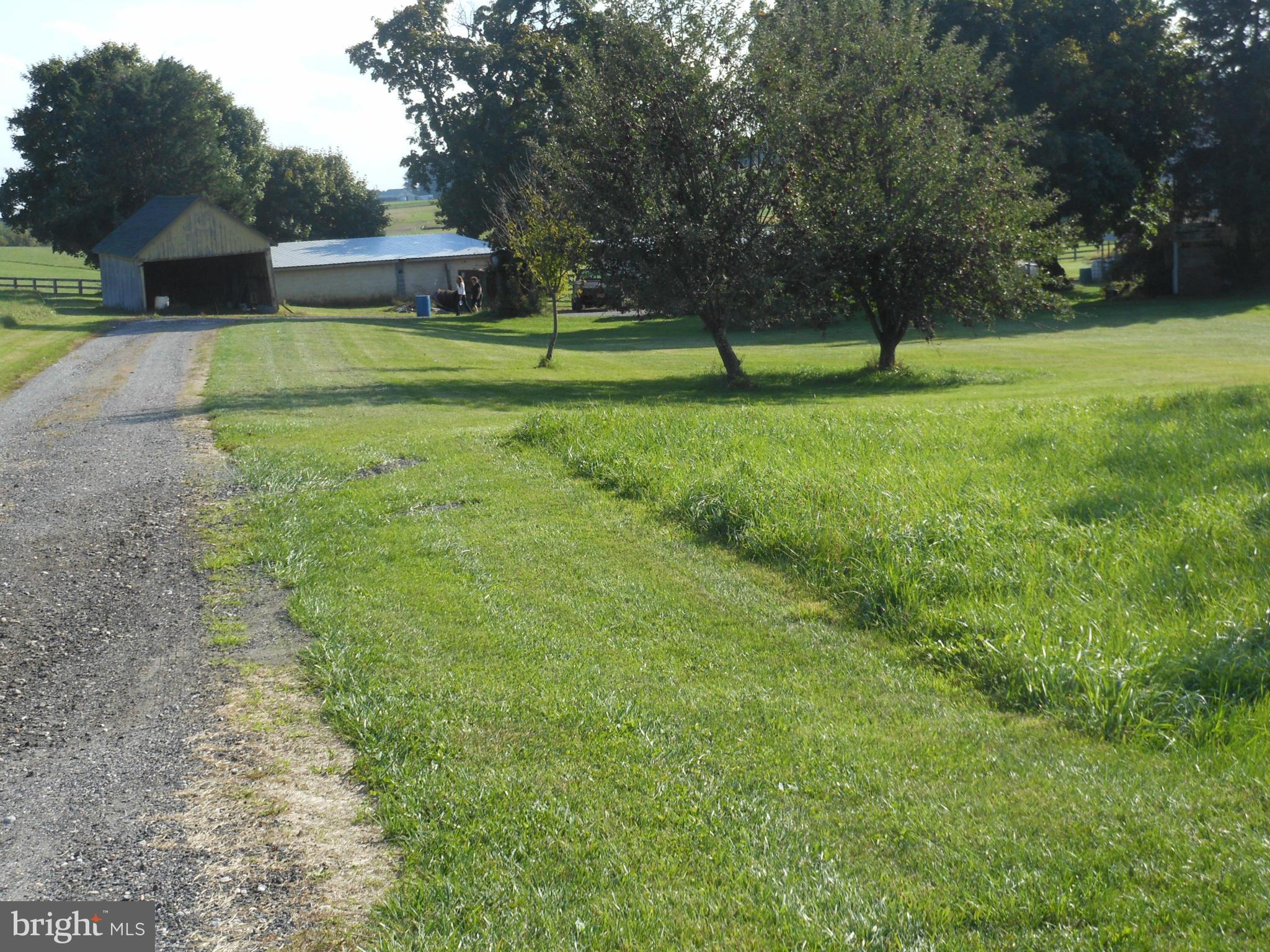 21715 Middletown Road Freeland, MD 21053 - Photo 30 of 30 a view of field with tall trees