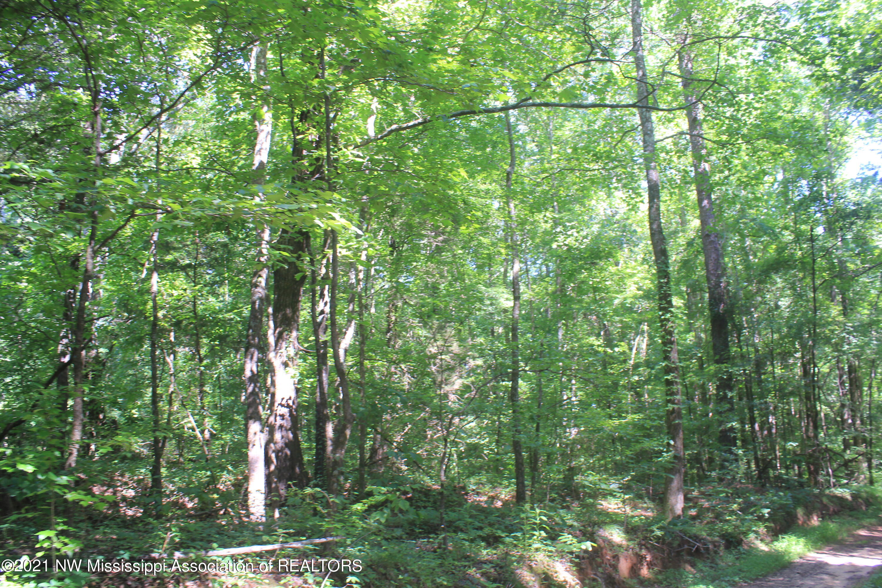 2 Hogan Road Holly Springs, MS 38635 - Photo 12 of 39 IMG_6798