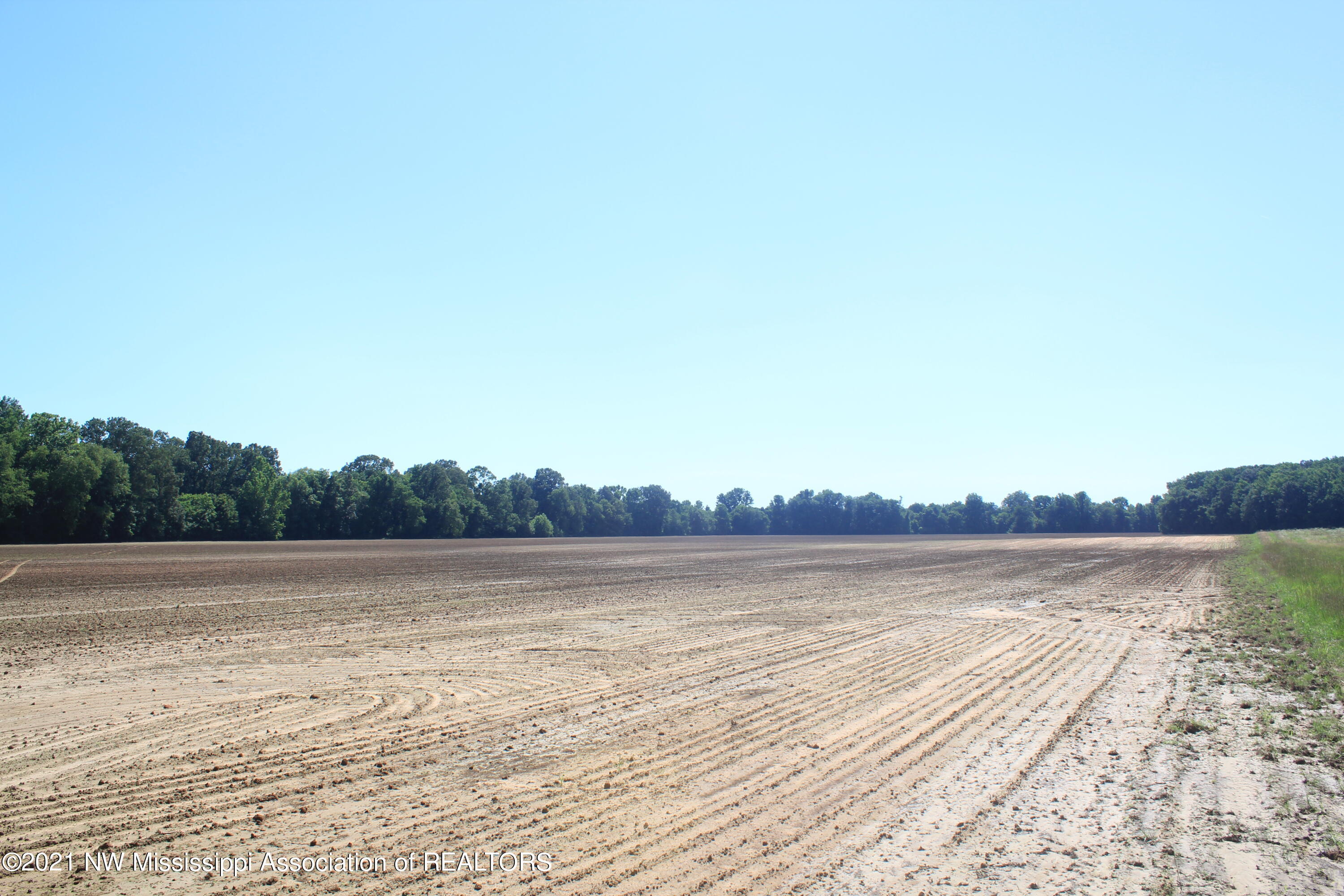 2 Hogan Road Holly Springs, MS 38635 - Photo 18 of 39 IMG_6804