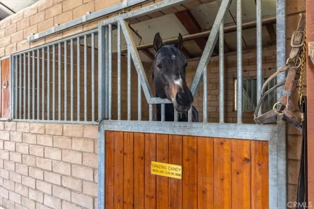a view of yard with trees