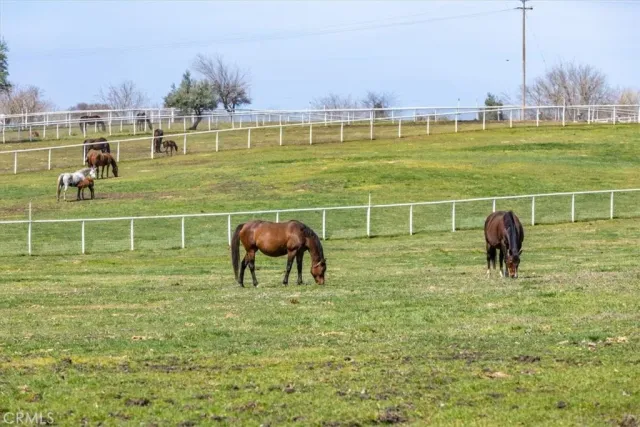 a view of a house with a yard and wooden fence