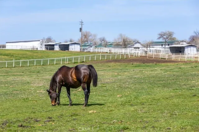 a view of a house with a big yard and large trees