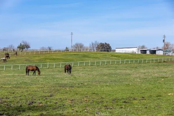 a view of a house with a yard and swimming pool