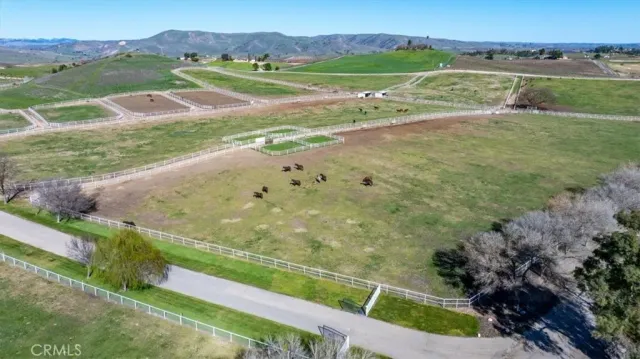 a view of a patio with table and chairs potted plants and a large tree
