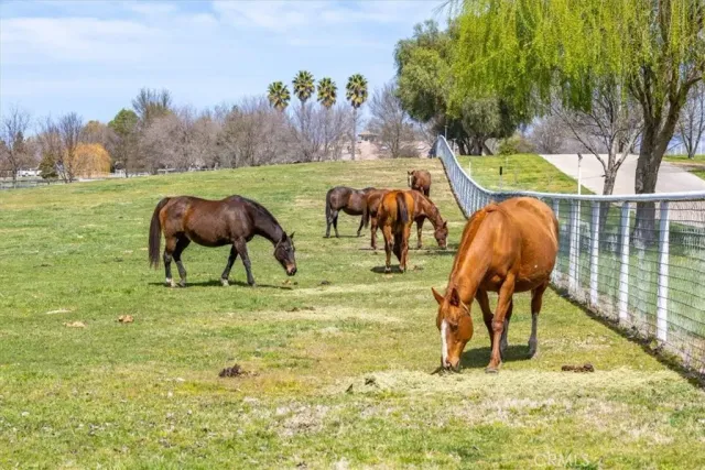 a kitchen with granite countertop a white sink and cabinets