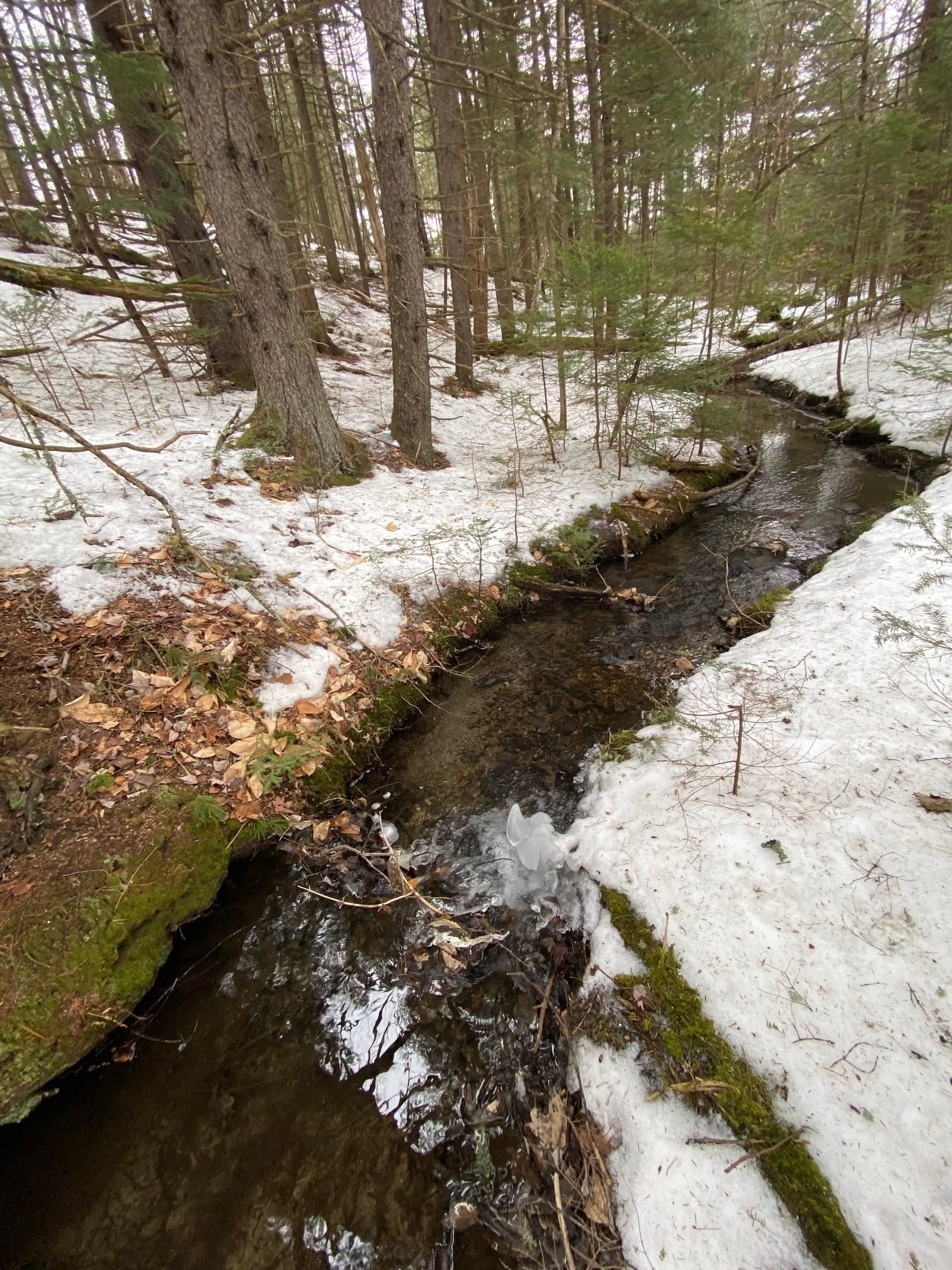 Sterling Valley Road Morristown, VT 05661 - Photo 2 of 4 Gallery Image 2
