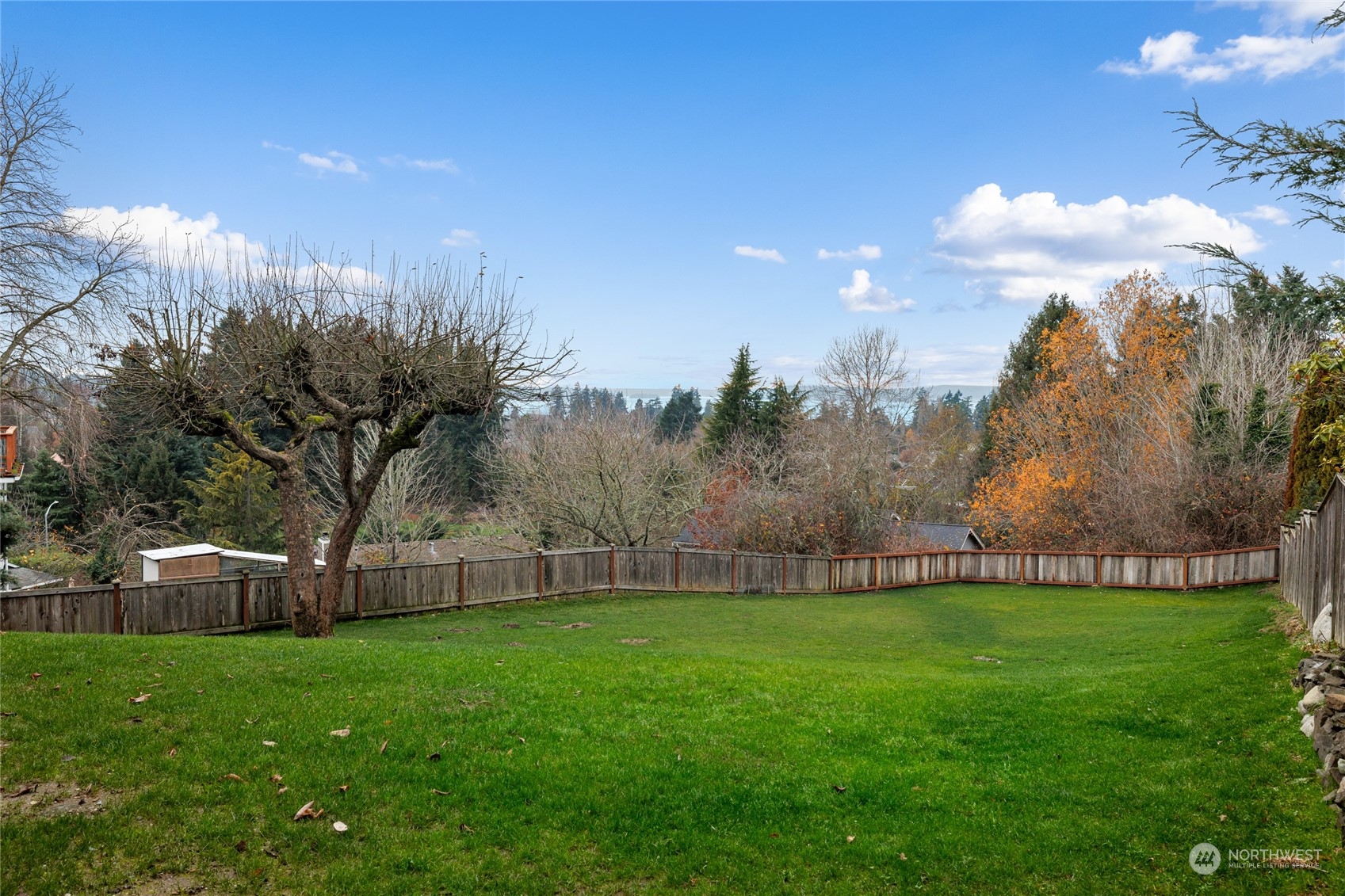 815 Rowell Street Steilacoom, WA 98388 - Photo 34 of 34 a view of a back yard