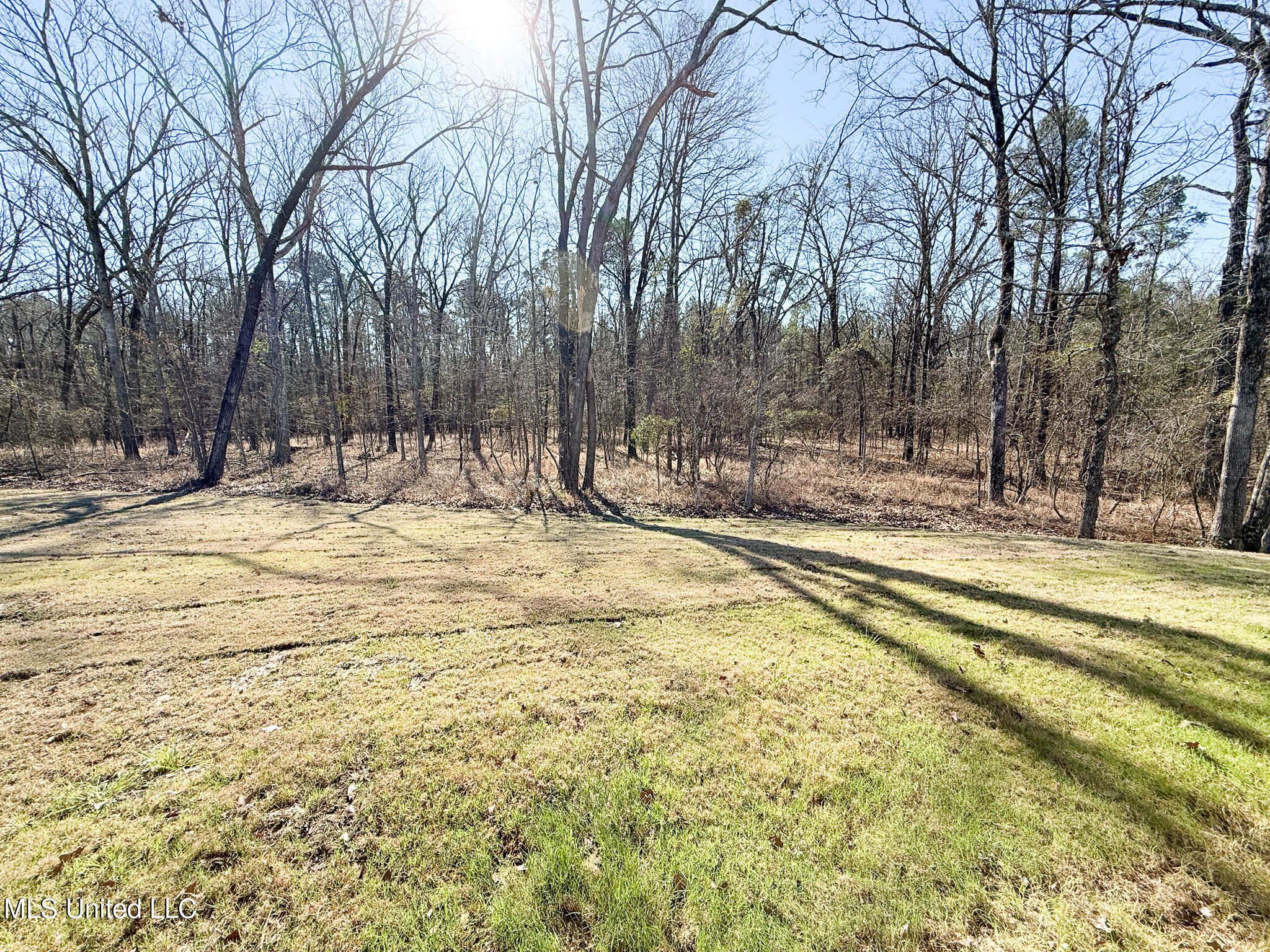 342 Oakville Circle Brandon, MS 39047 - Photo 31 of 31 IMG_2479