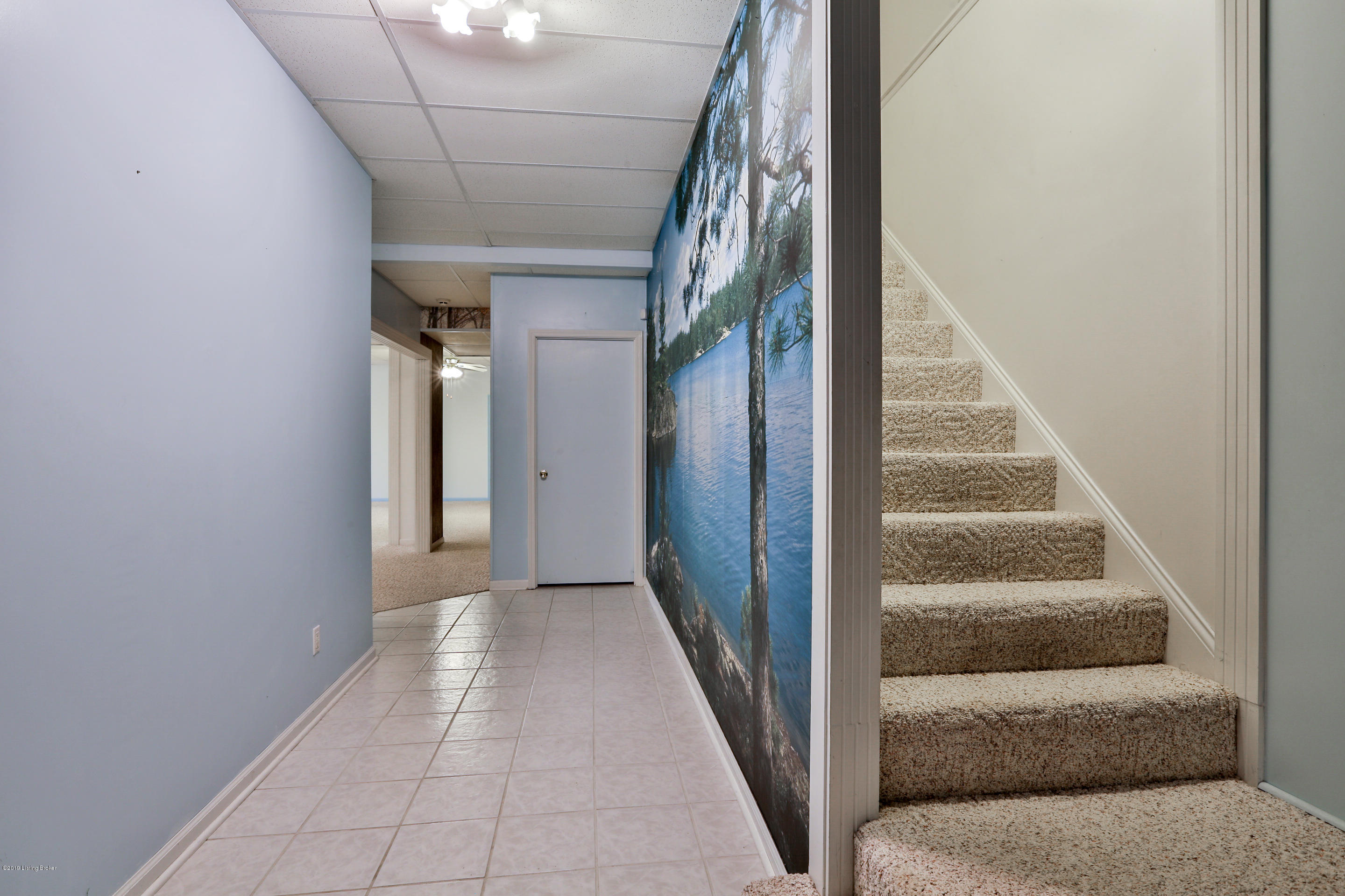 117 Flint Ridge Road Shelbyville, KY 40065 - Photo 26 of 49 CT6C4927