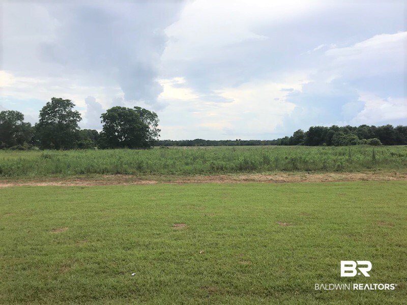 12361 Pecan Grove Street Foley, AL 36535 - Photo 5 of 24 back yard