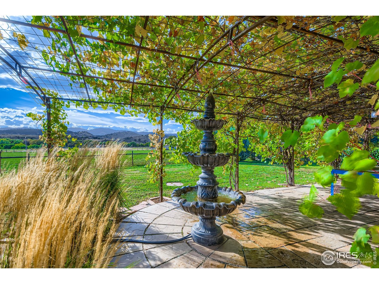 3617 Glade Road Loveland, CO 80538 - Photo 35 of 50 Beautiful Water Feature in Grape Vine Patio