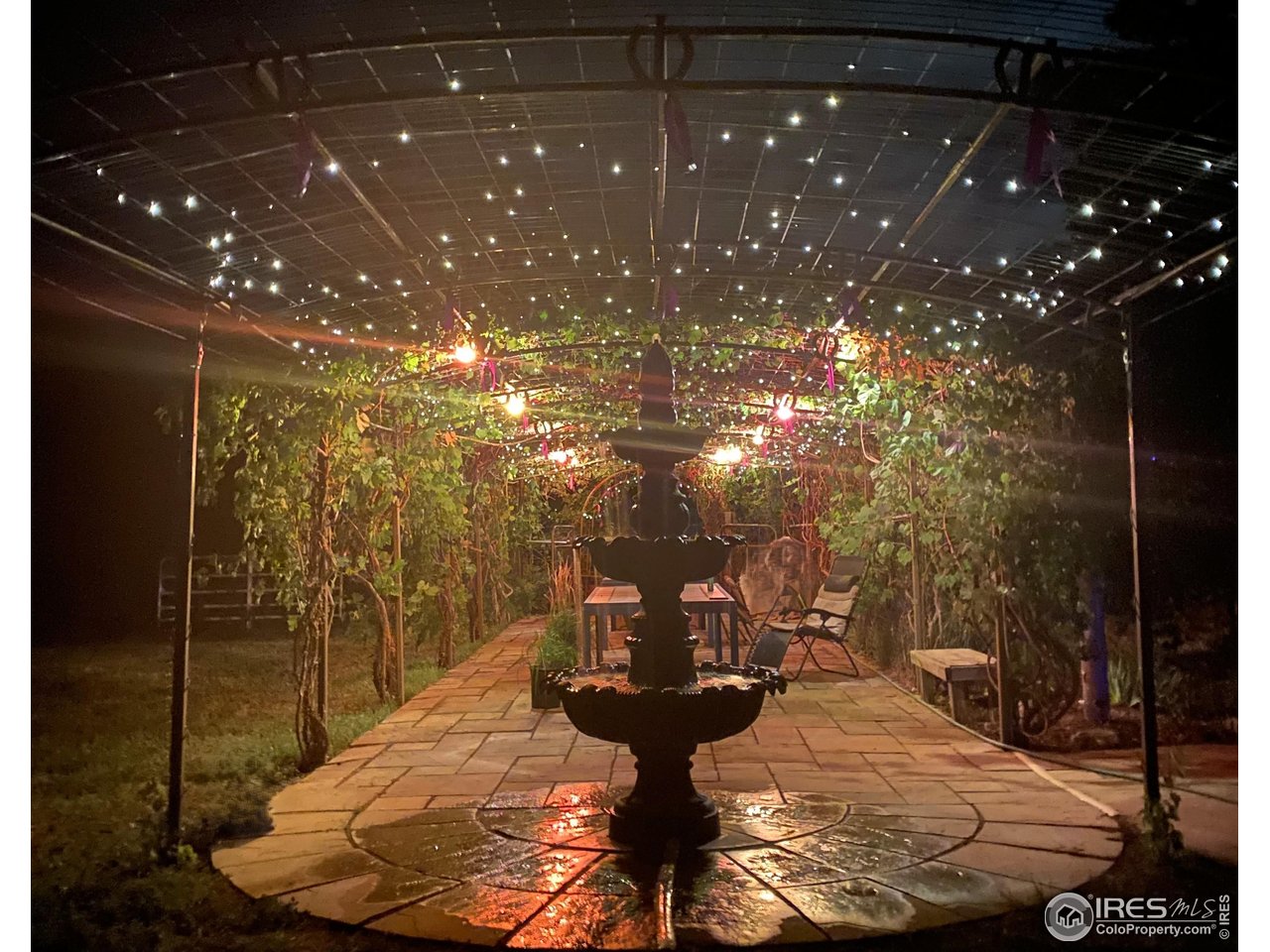 3617 Glade Road Loveland, CO 80538 - Photo 37 of 50 Amazing Grape Arbor at Night