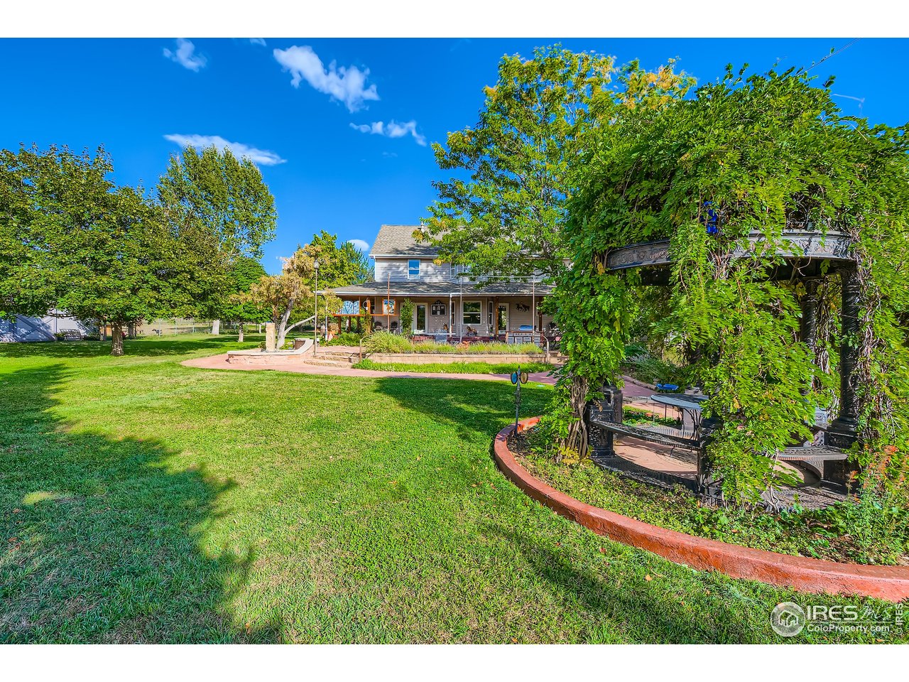 3617 Glade Road Loveland, CO 80538 - Photo 42 of 50 Beautiful Grape Vine Gazebo and Back Patio
