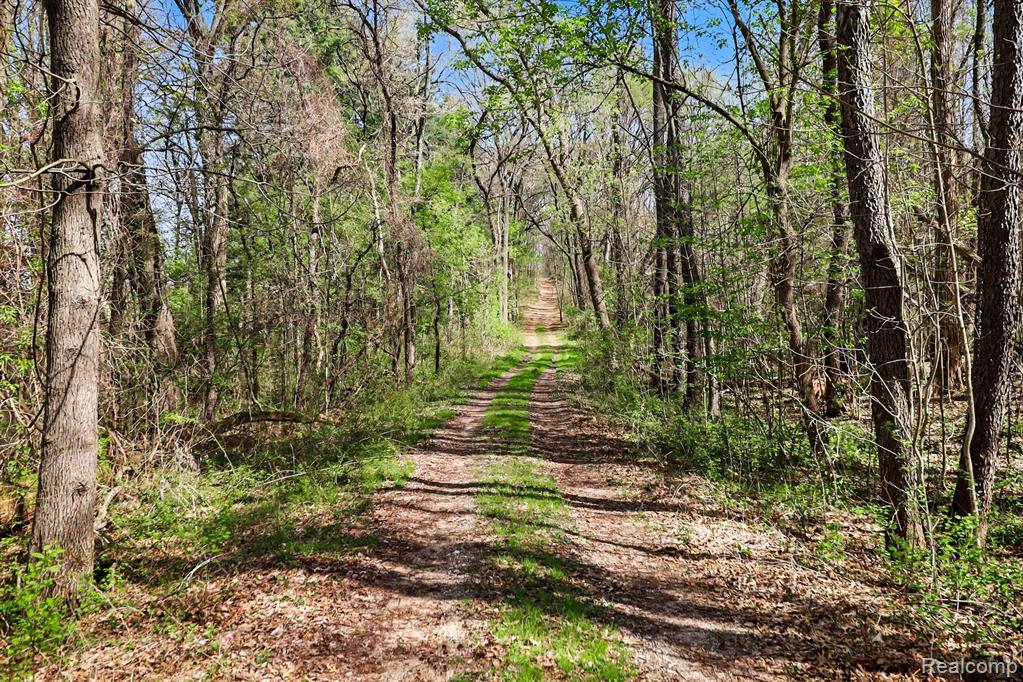 8815 Milford Road Holly, MI 48442 - Photo 26 of 52