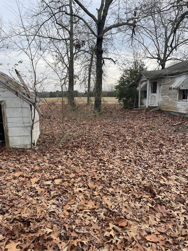 135 County Rd S-01-396 Honea Path, SC 29654 - Photo 6 of 16