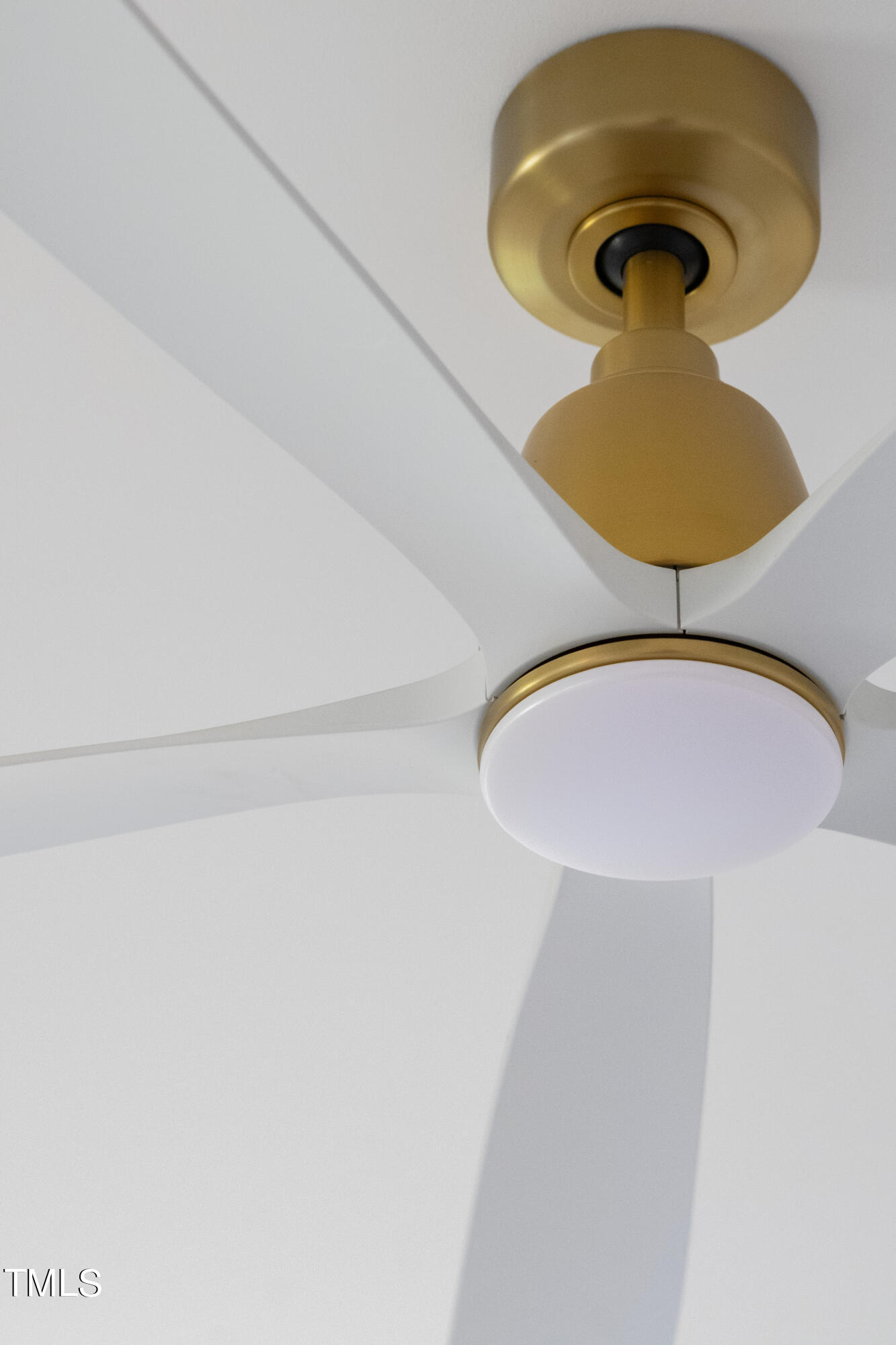 2421 Mayview Road Raleigh, NC 27607 - Photo 40 of 89 29