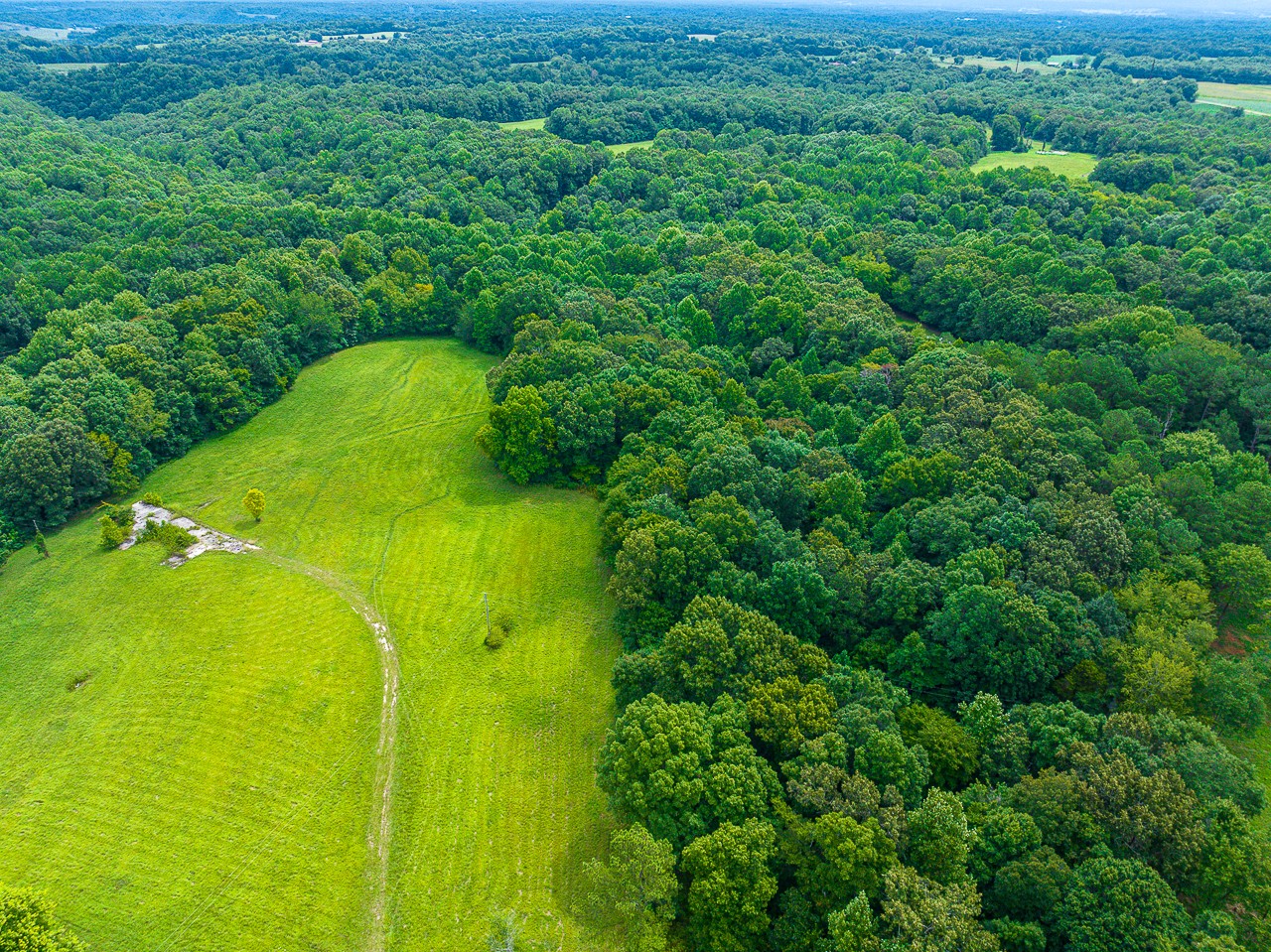 41 Arnold Road Flintville, TN 37335 - Photo 8 of 41 a view of a garden