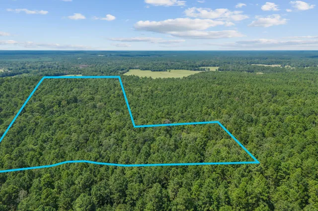 a view of a yard with an outdoor seating