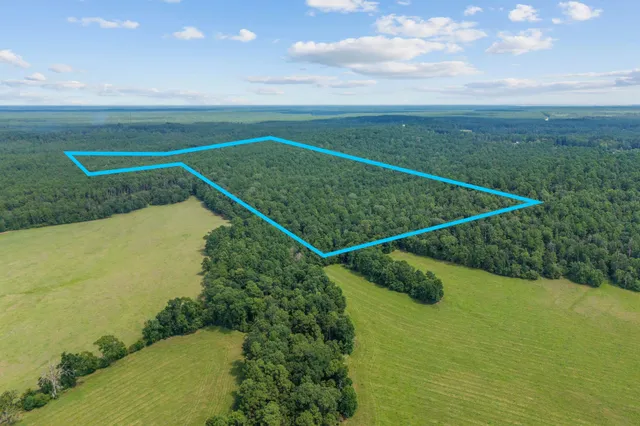 a view of a tennis court