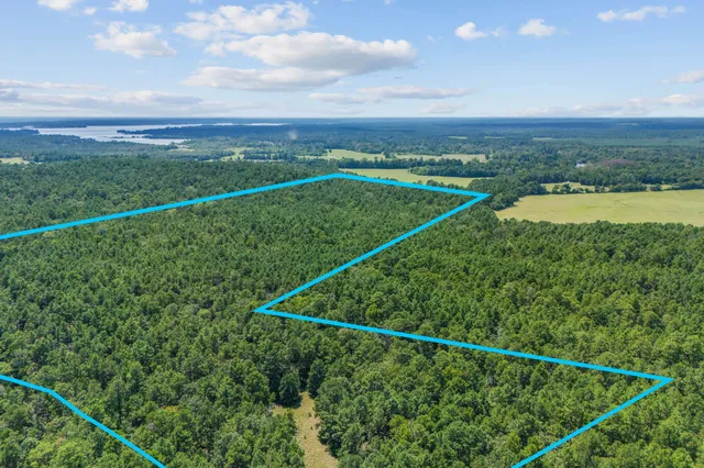 a view of a city and a lake view