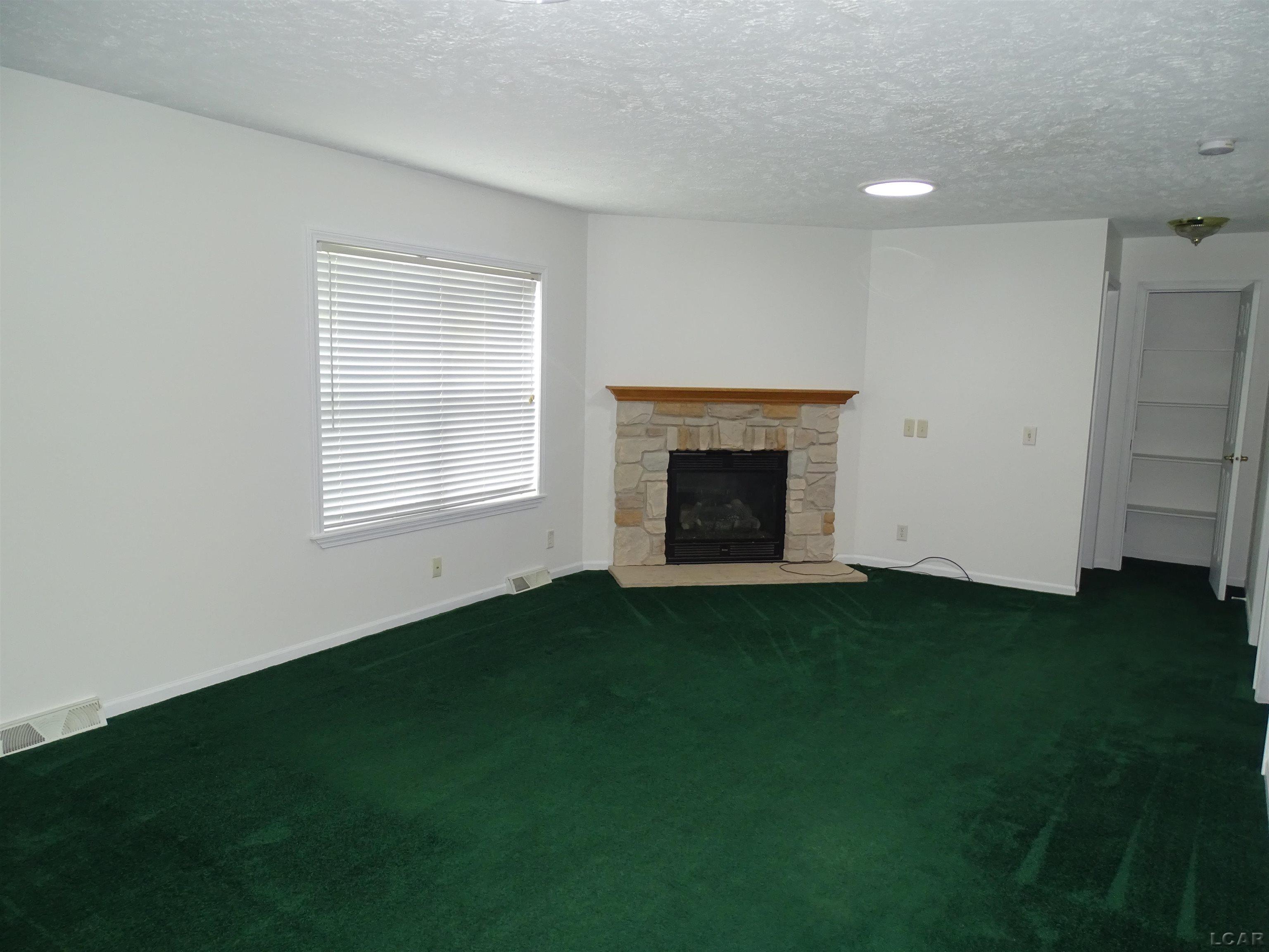 3553 Gady Road Tecumseh, MI 49286 - Photo 3 of 38