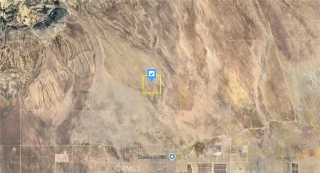 a close up of a plant