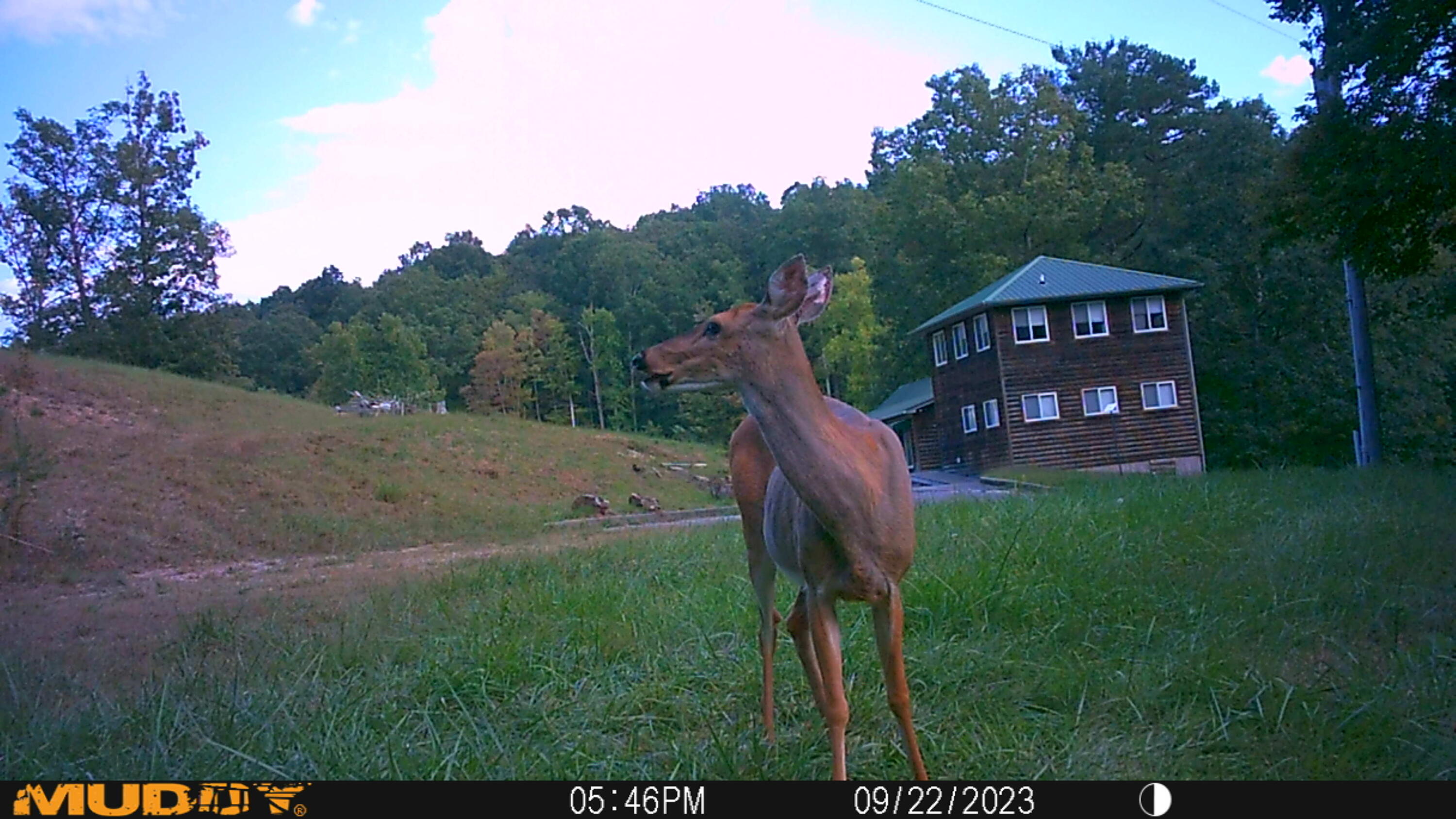 1214 Sears Road Somerset, KY 42501 - Photo 56 of 71 MUD_2570