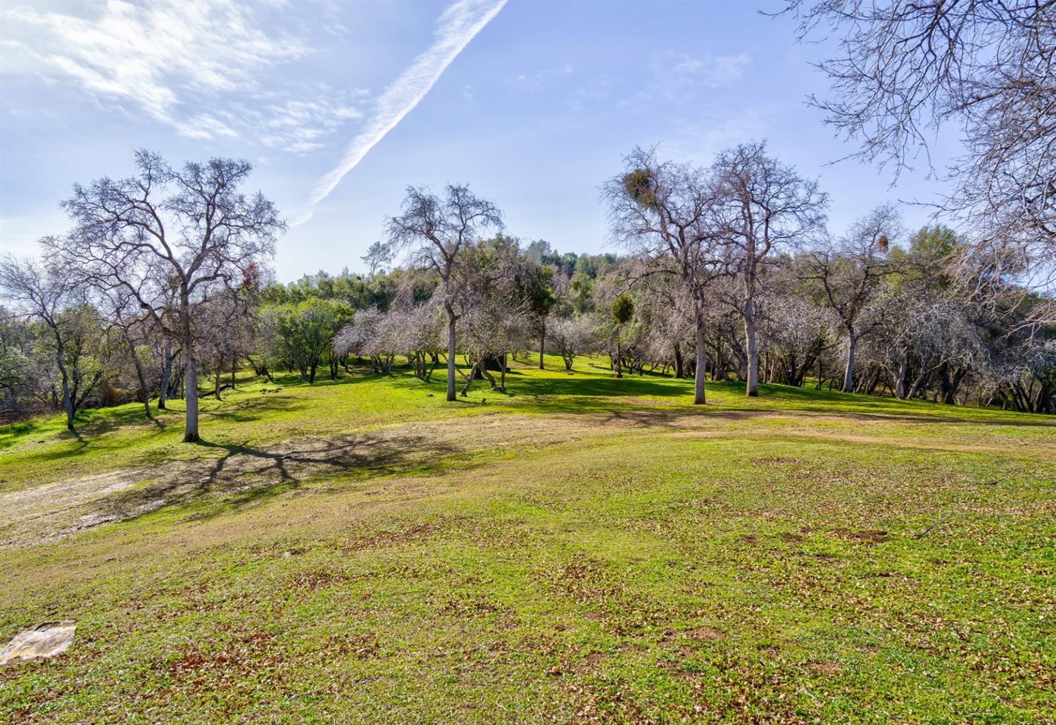 4359 Alamo Creek Road Mariposa, CA 95338 - Photo 48 of 61