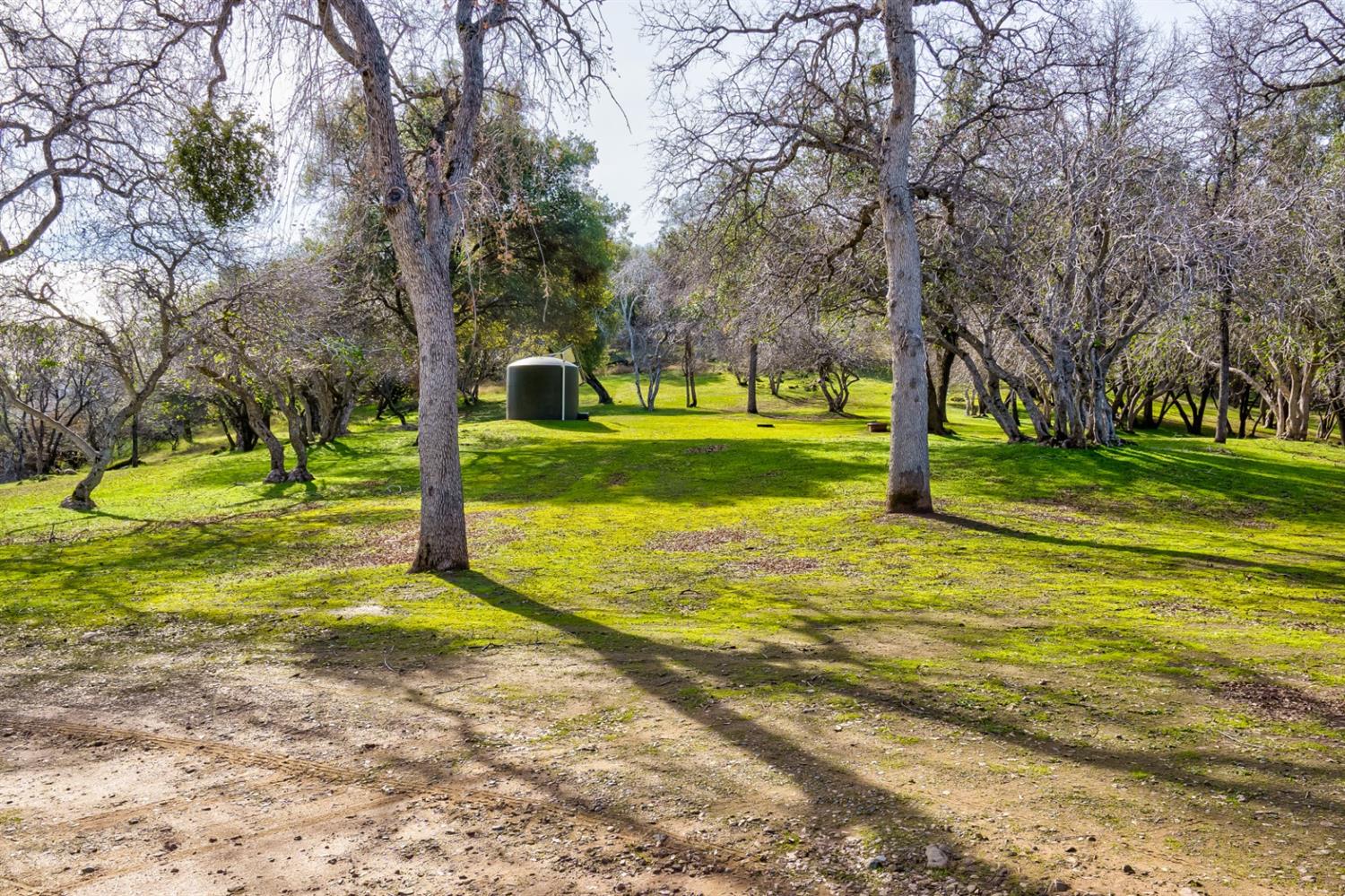 4359 Alamo Creek Road Mariposa, CA 95338 - Photo 50 of 61